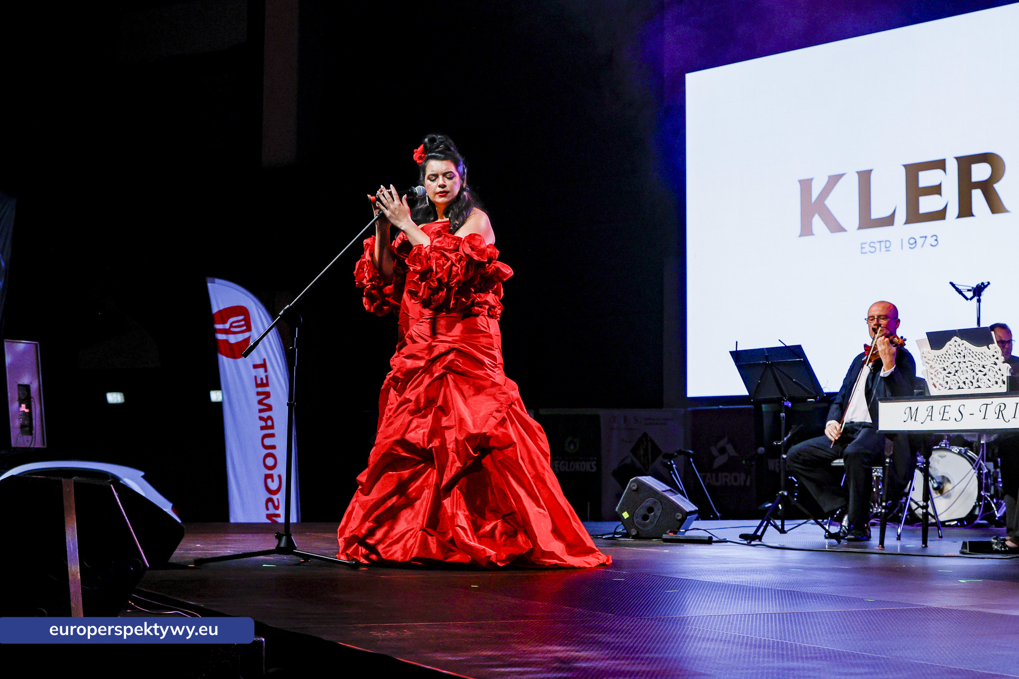 Marka Śląskie 2025 Europerspektywy.eu Europerspektywy 31. Wielka Gala RIPH w Gliwicach – wręczenie nagród w konkursie „Marka Śląskie”