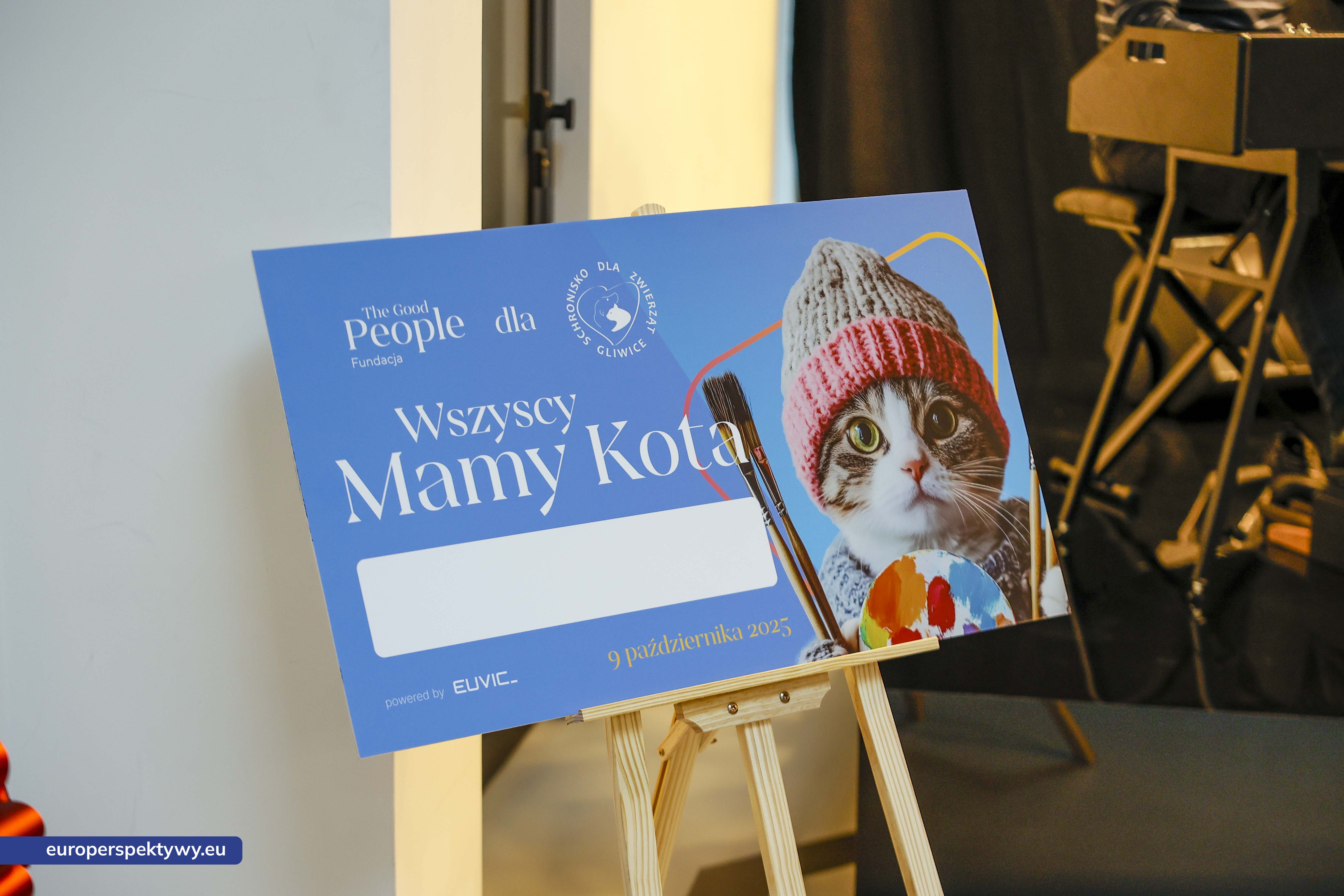 Europerspektywy Aukcja charytatywna „Wszyscy Mamy Kota” w Euvic – biznes, sztuka i dobro dla gliwickiego schroniska
