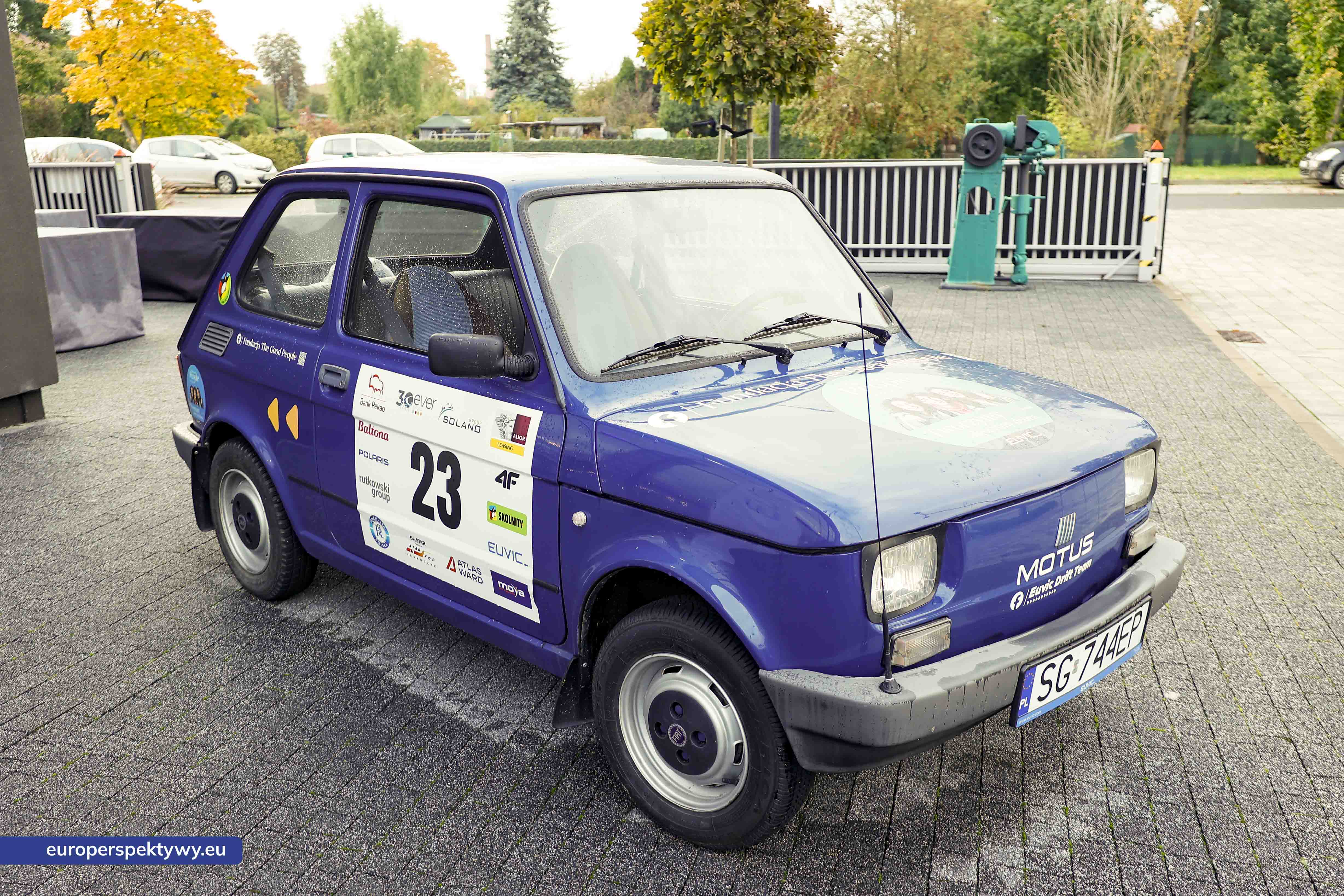 Europerspektywy Aukcja charytatywna „Wszyscy Mamy Kota” w Euvic – biznes, sztuka i dobro dla gliwickiego schroniska