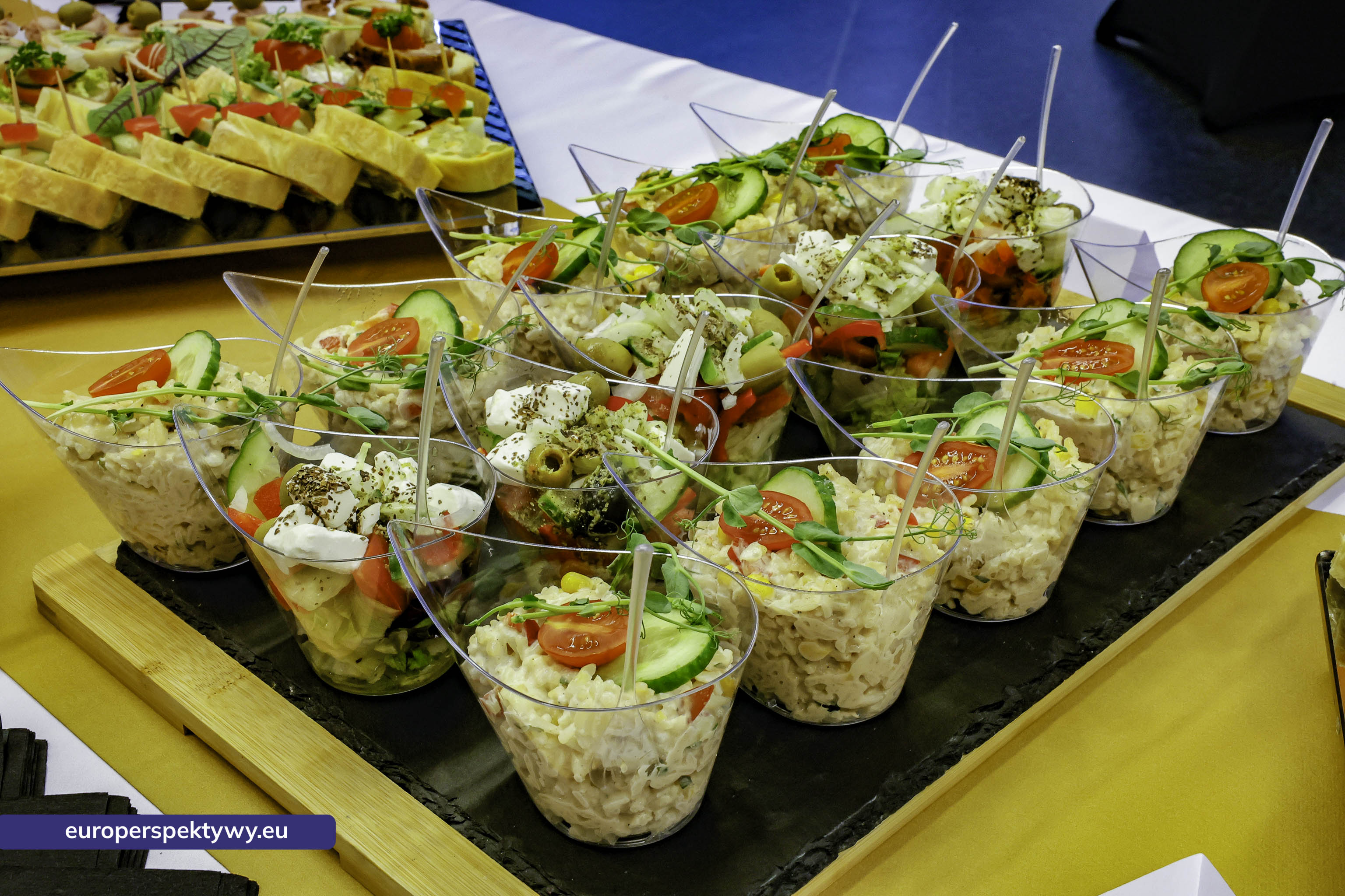 Europerspektywy OIPH w Tychach o bezpieczeństwie i odporności – konferencja OIPH zgromadziła ekspertów, samorządowców i przedstawicieli przemysłu