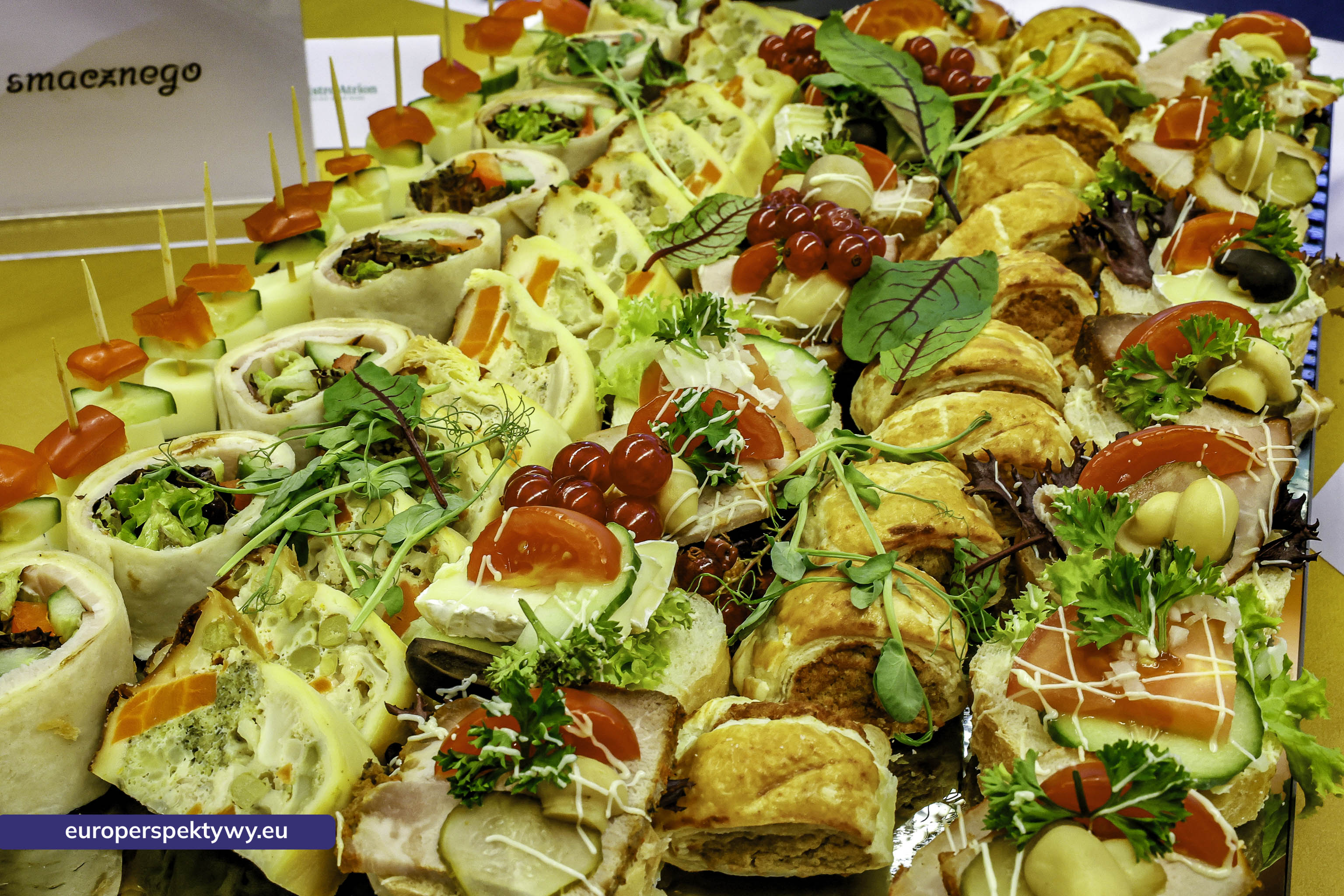 Europerspektywy OIPH w Tychach o bezpieczeństwie i odporności – konferencja OIPH zgromadziła ekspertów, samorządowców i przedstawicieli przemysłu