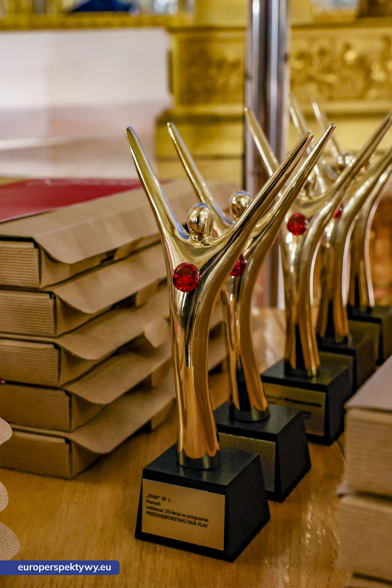 Gala Fair Play 2025 – Europerspektywy-20 Europerspektywy 28. Gala Programu Przedsiębiorstwo Fair Play
