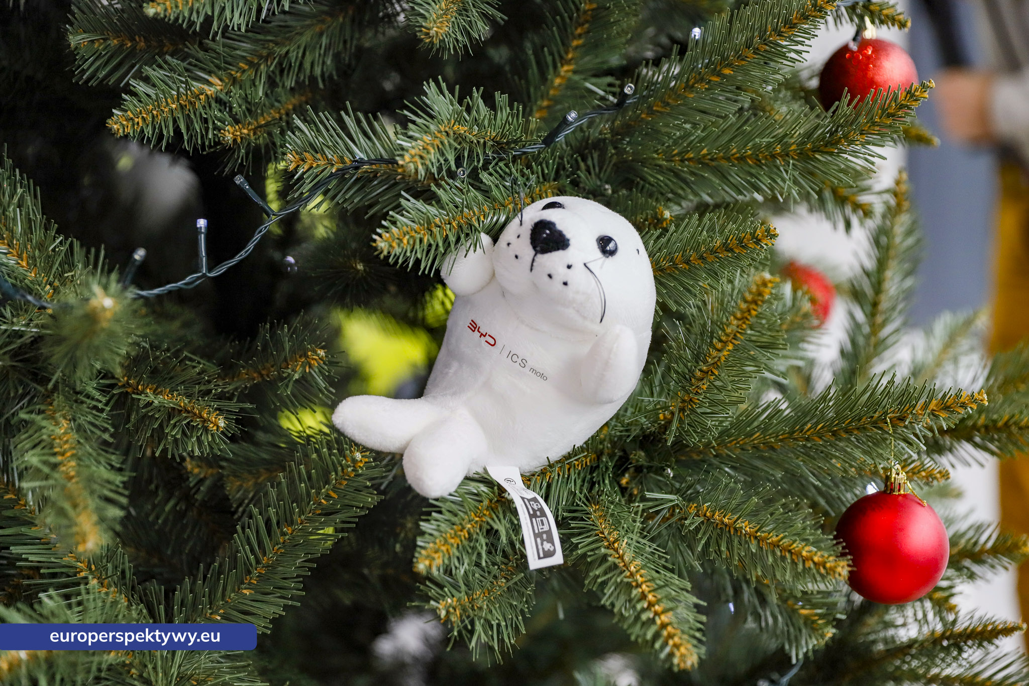 Europerspektywy Otwarcie salonu BYD – Gliwice zyskują nowy punkt na motoryzacyjnej mapie regionu