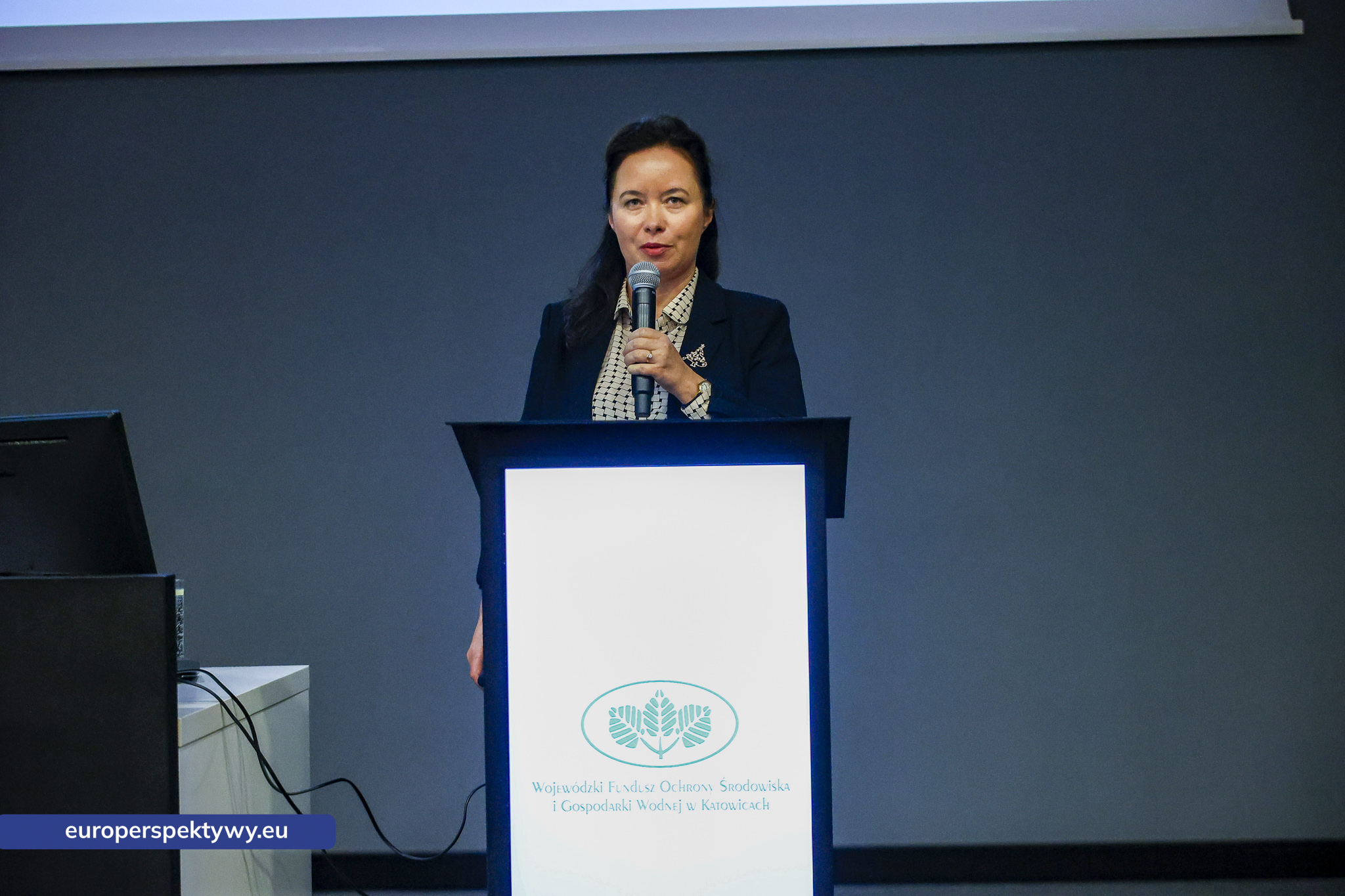 Europerspektywy WFOŚiGW 2026: rekordowy budżet i nowe programy wsparcia