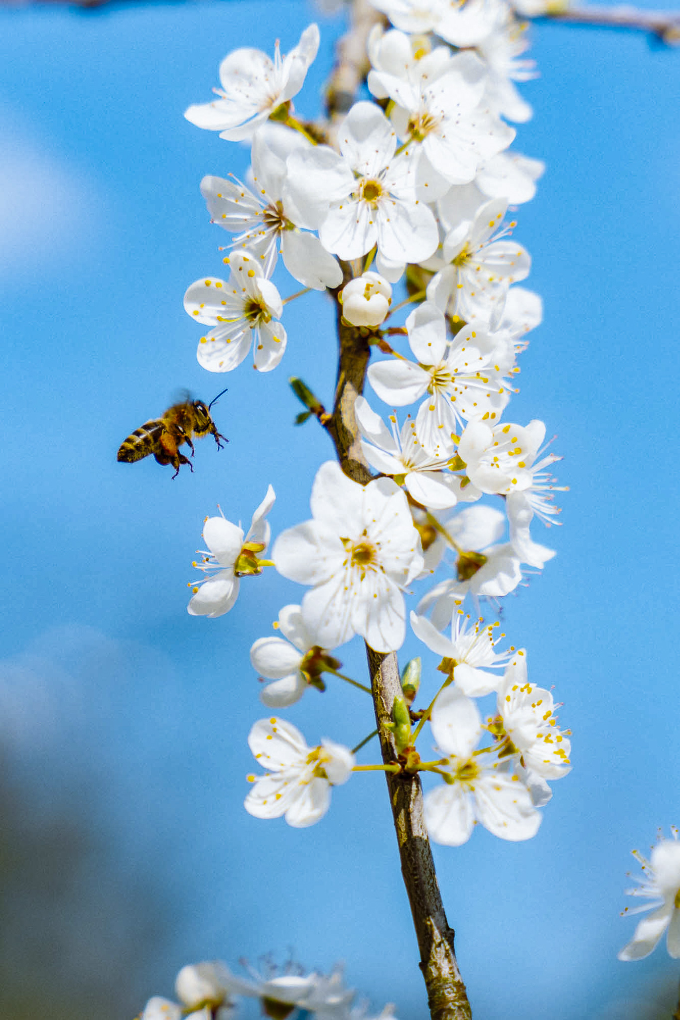 Tauron Park Śląski-21 Europerspektywy Park Śląski - zielone serce aglomeracji