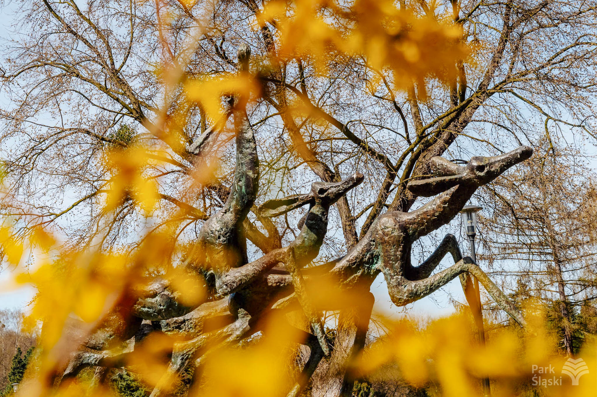 Tauron Park Śląski-28 Europerspektywy Park Śląski - zielone serce aglomeracji