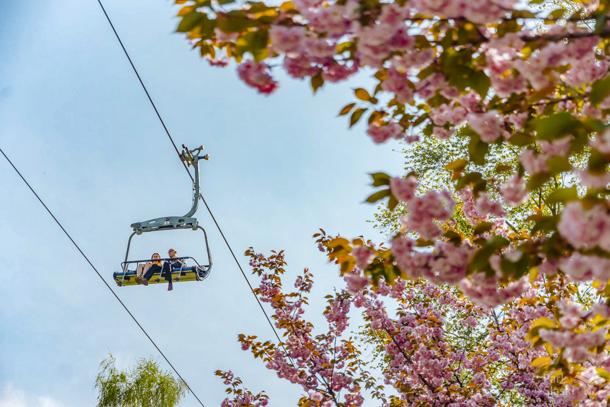 Tauron Park Śląski-34 Europerspektywy Park Śląski - zielone serce aglomeracji
