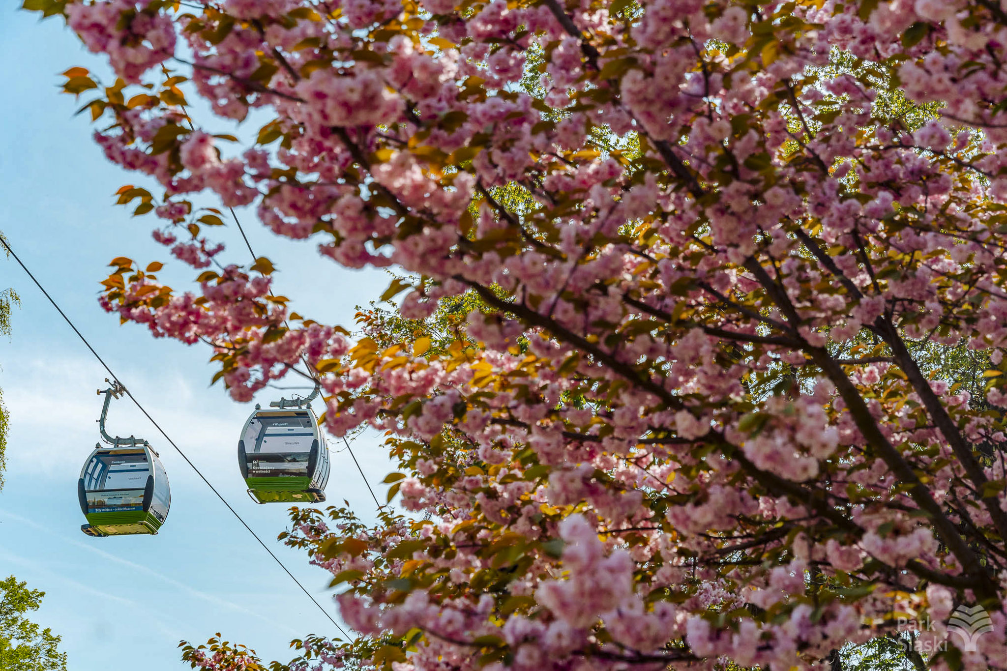 Tauron Park Śląski-35 Europerspektywy Park Śląski - zielone serce aglomeracji