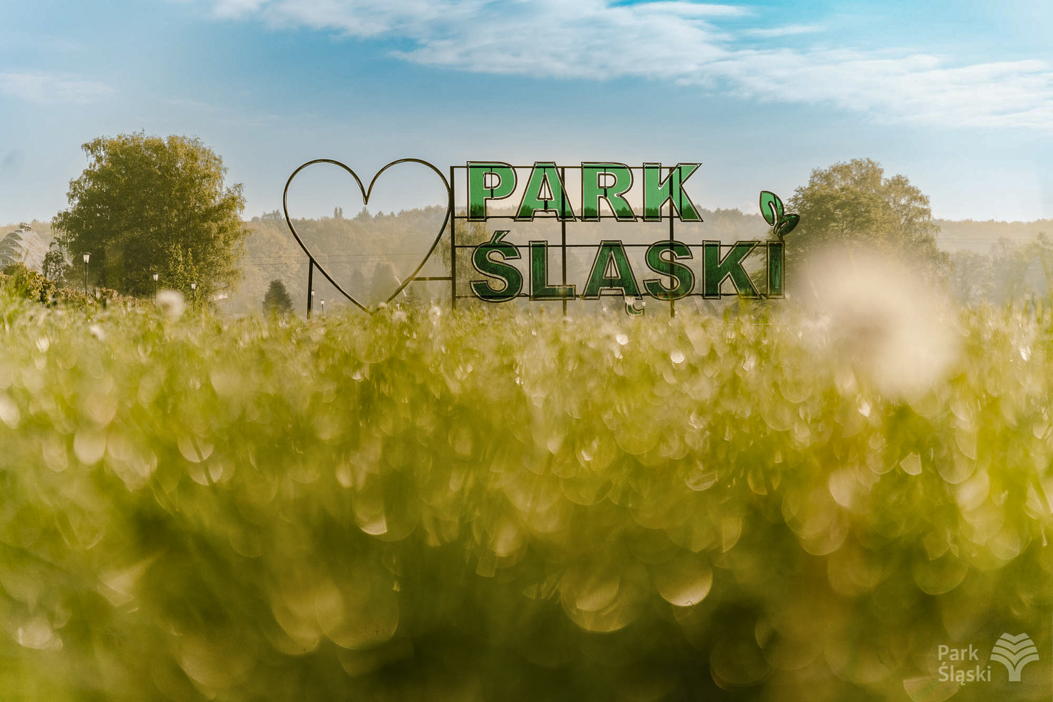 Tauron Park Śląski-37 Europerspektywy Park Śląski - zielone serce aglomeracji