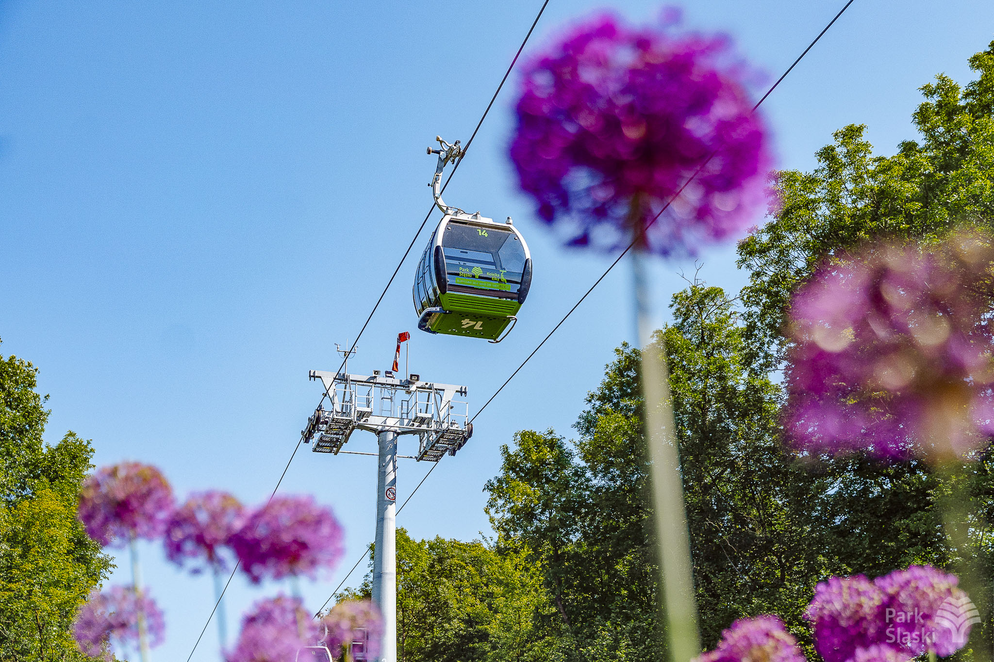 Tauron Park Śląski-49 Europerspektywy Park Śląski - zielone serce aglomeracji