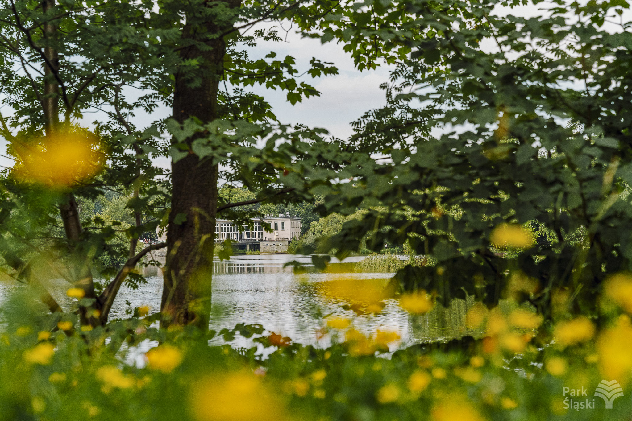 Tauron Park Śląski-60 Europerspektywy Park Śląski - zielone serce aglomeracji