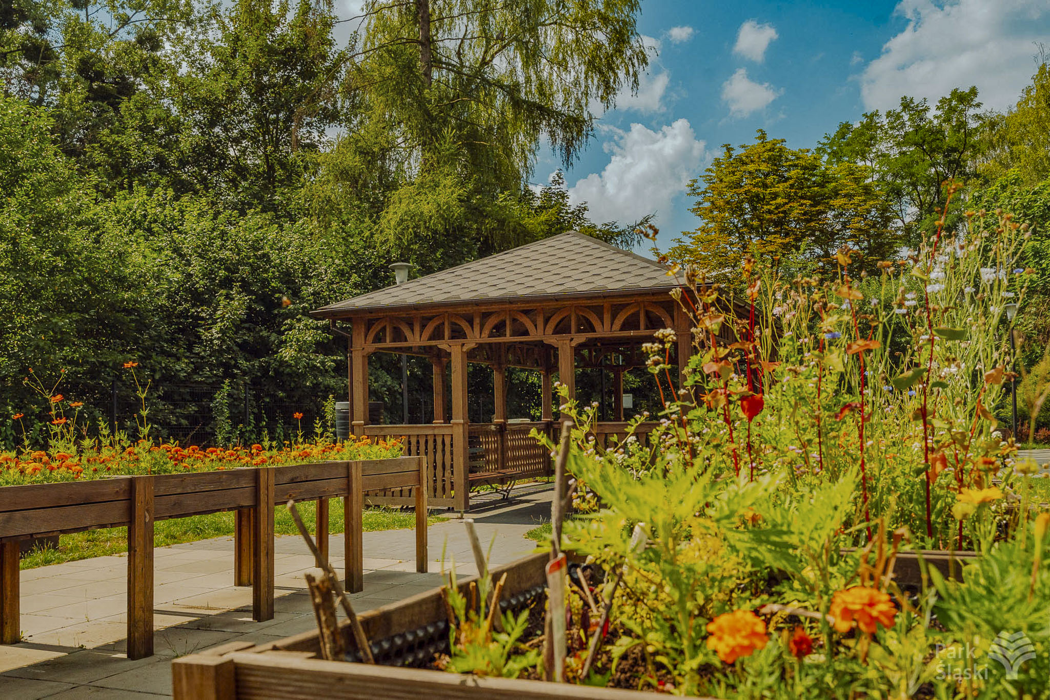 Tauron Park Śląski-79 Europerspektywy Park Śląski - zielone serce aglomeracji