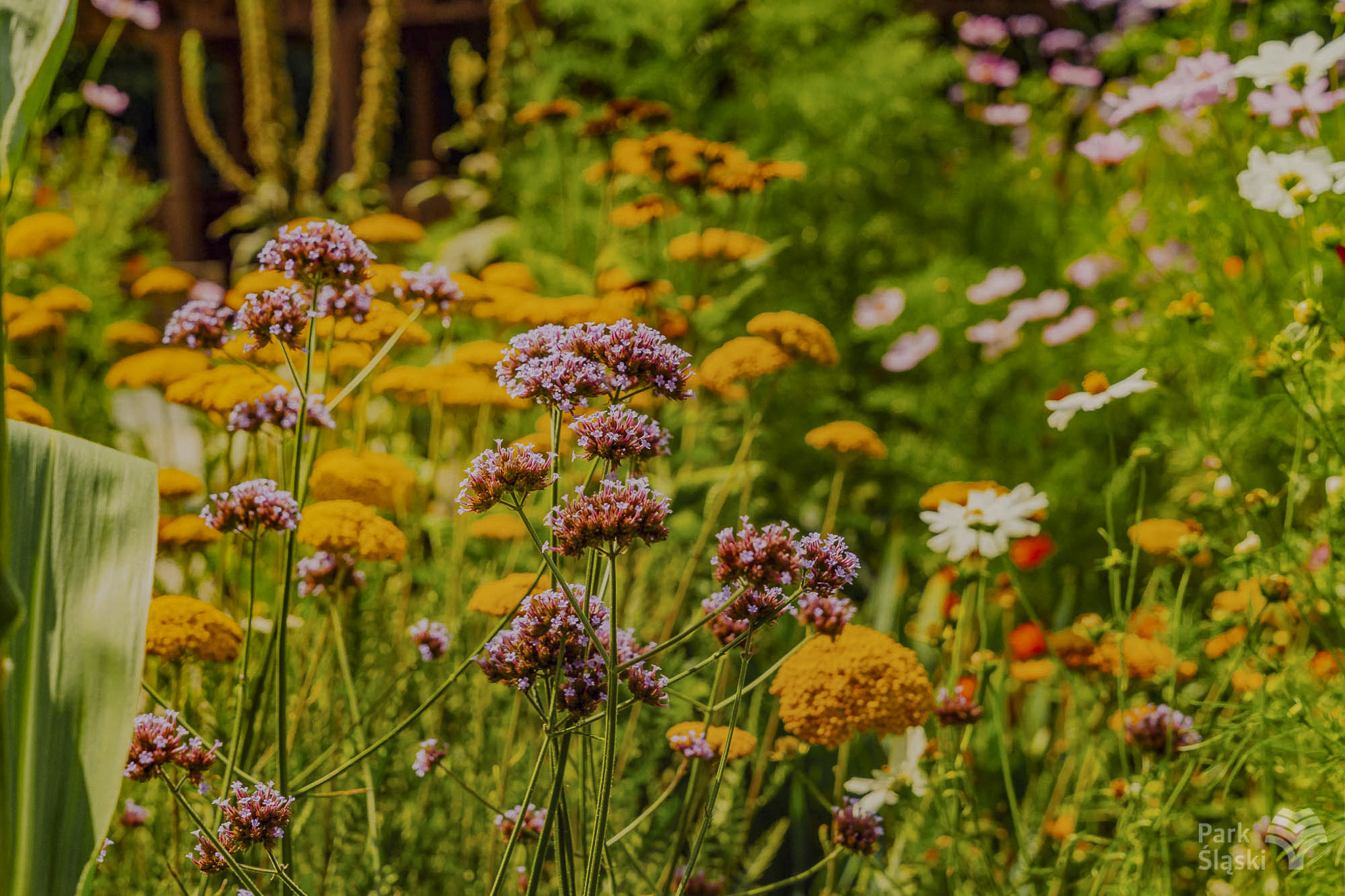 Europerspektywy Park Śląski - zielone serce aglomeracji