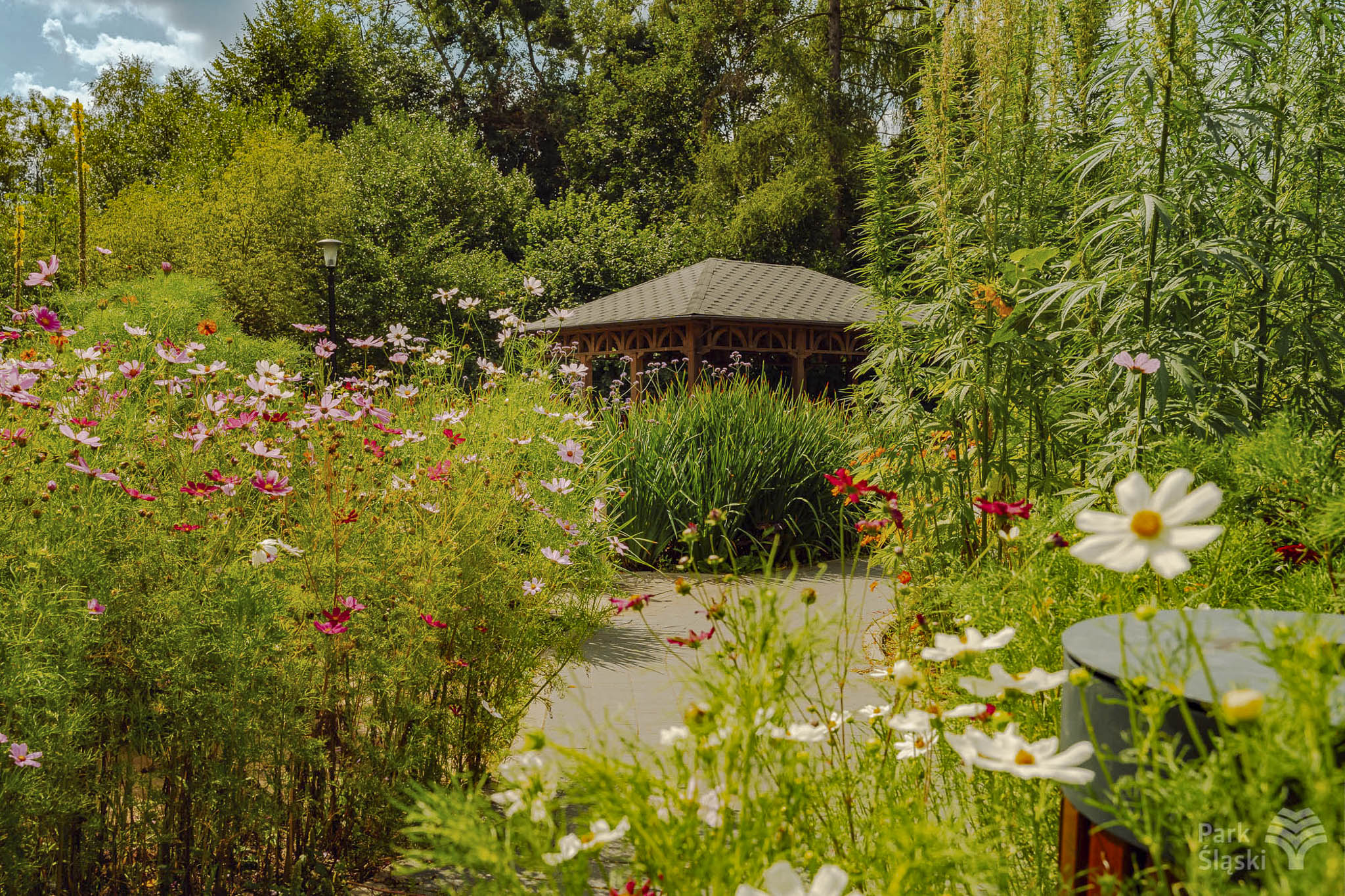Europerspektywy Park Śląski - zielone serce aglomeracji
