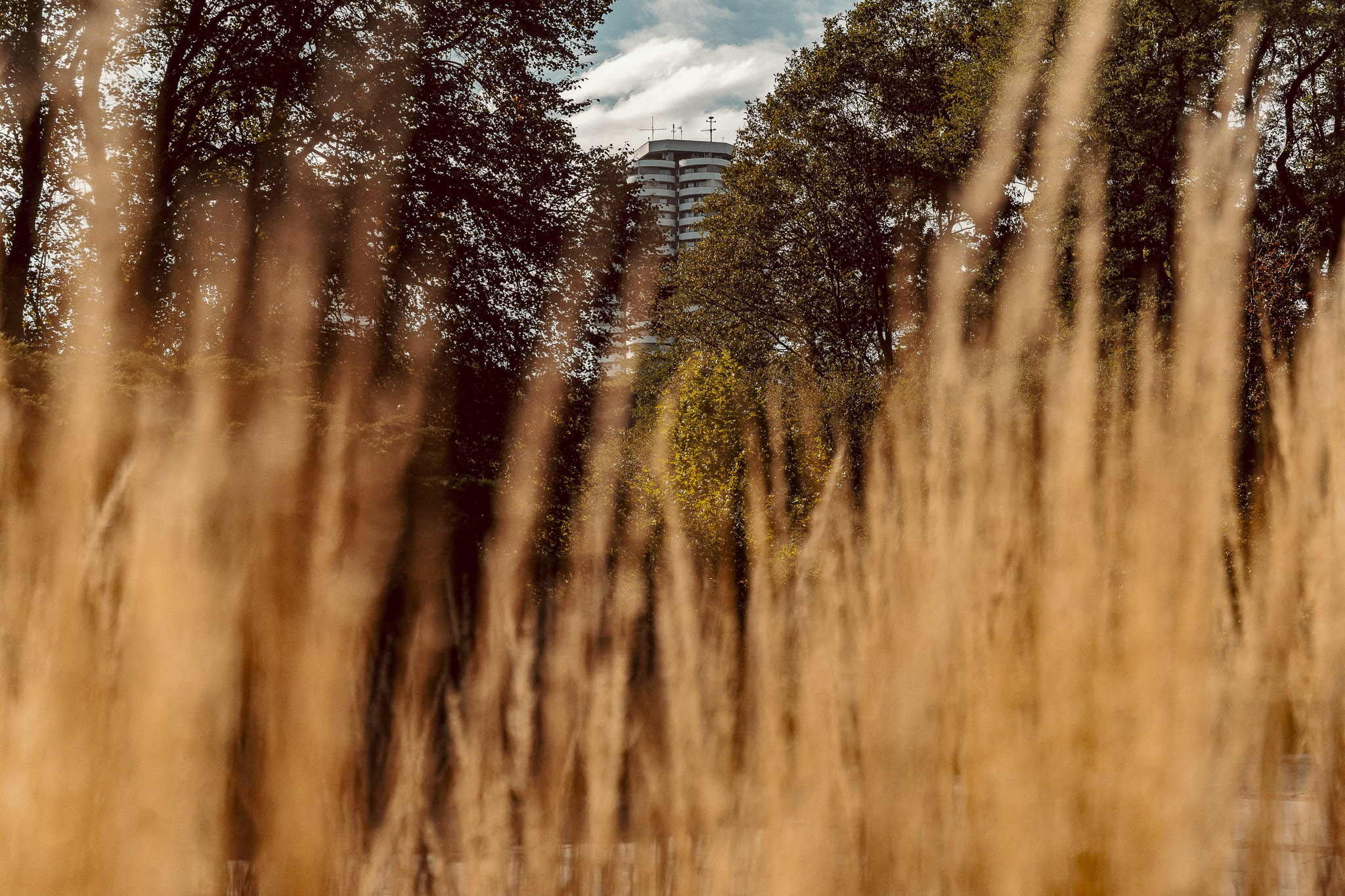 Tauron Park Śląski-88 Europerspektywy Park Śląski - zielone serce aglomeracji