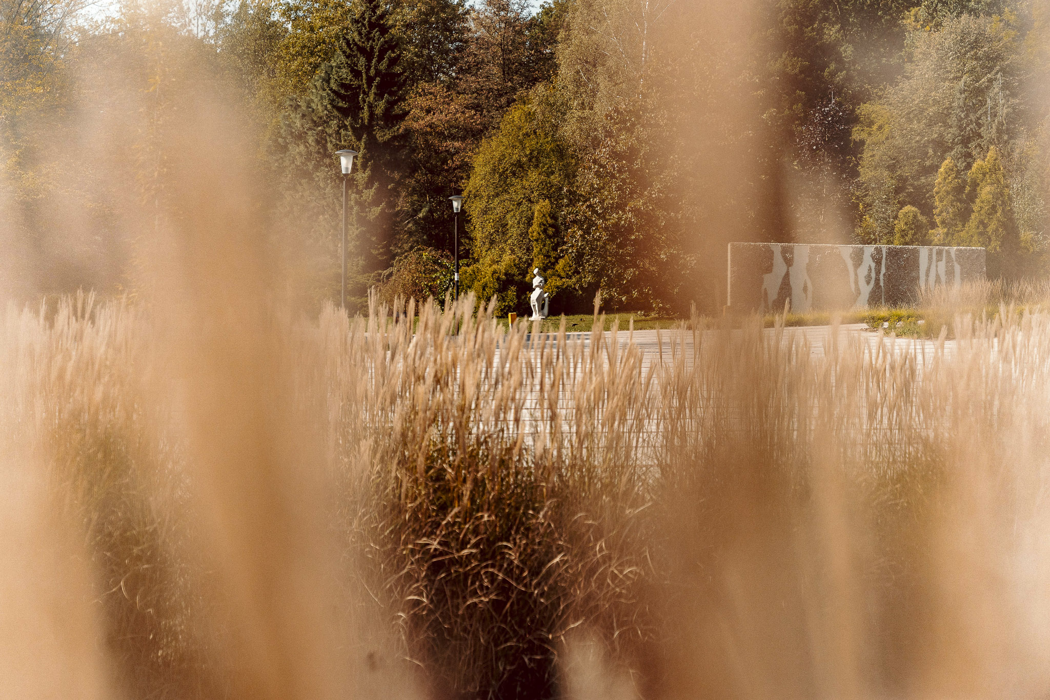 Tauron Park Śląski-89 Europerspektywy Park Śląski - zielone serce aglomeracji