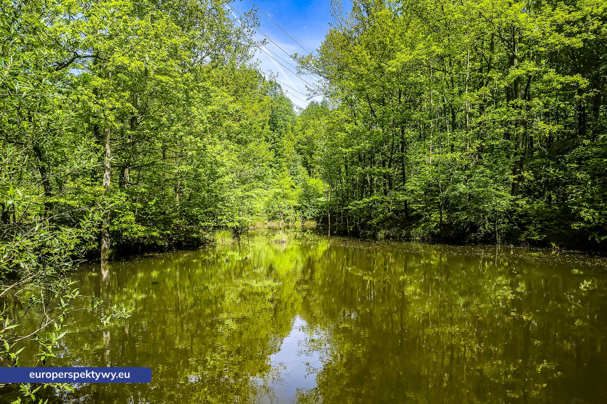 Europerspektywy Uroczysko Buczyna – zielona enklawa między miastami