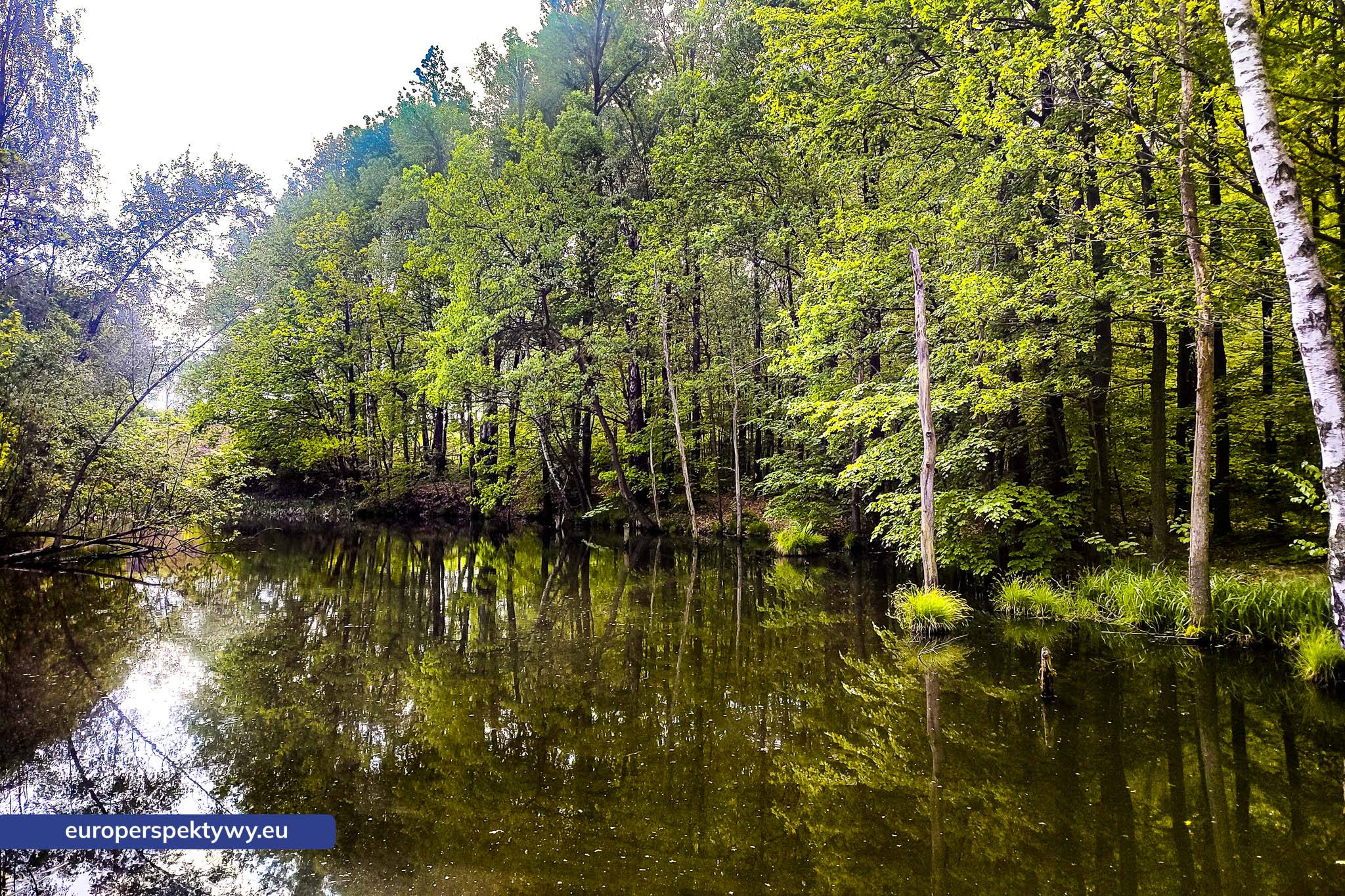 Uroczysko Buczyna – zespół przyrodniczo-krajobrazowy położ Europerspektywy Uroczysko Buczyna – zielona enklawa między miastami