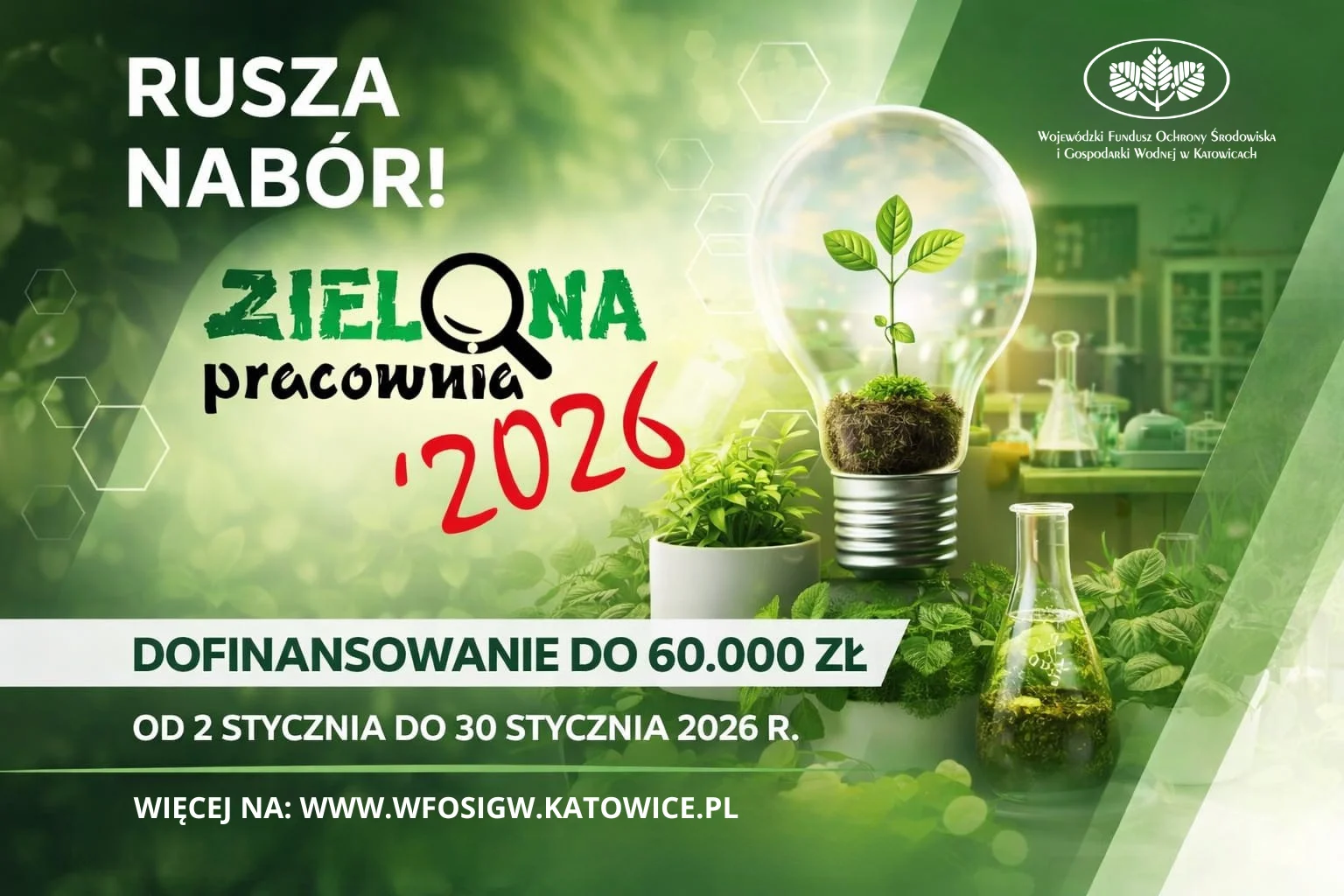 Wfośigw zielona pracownia