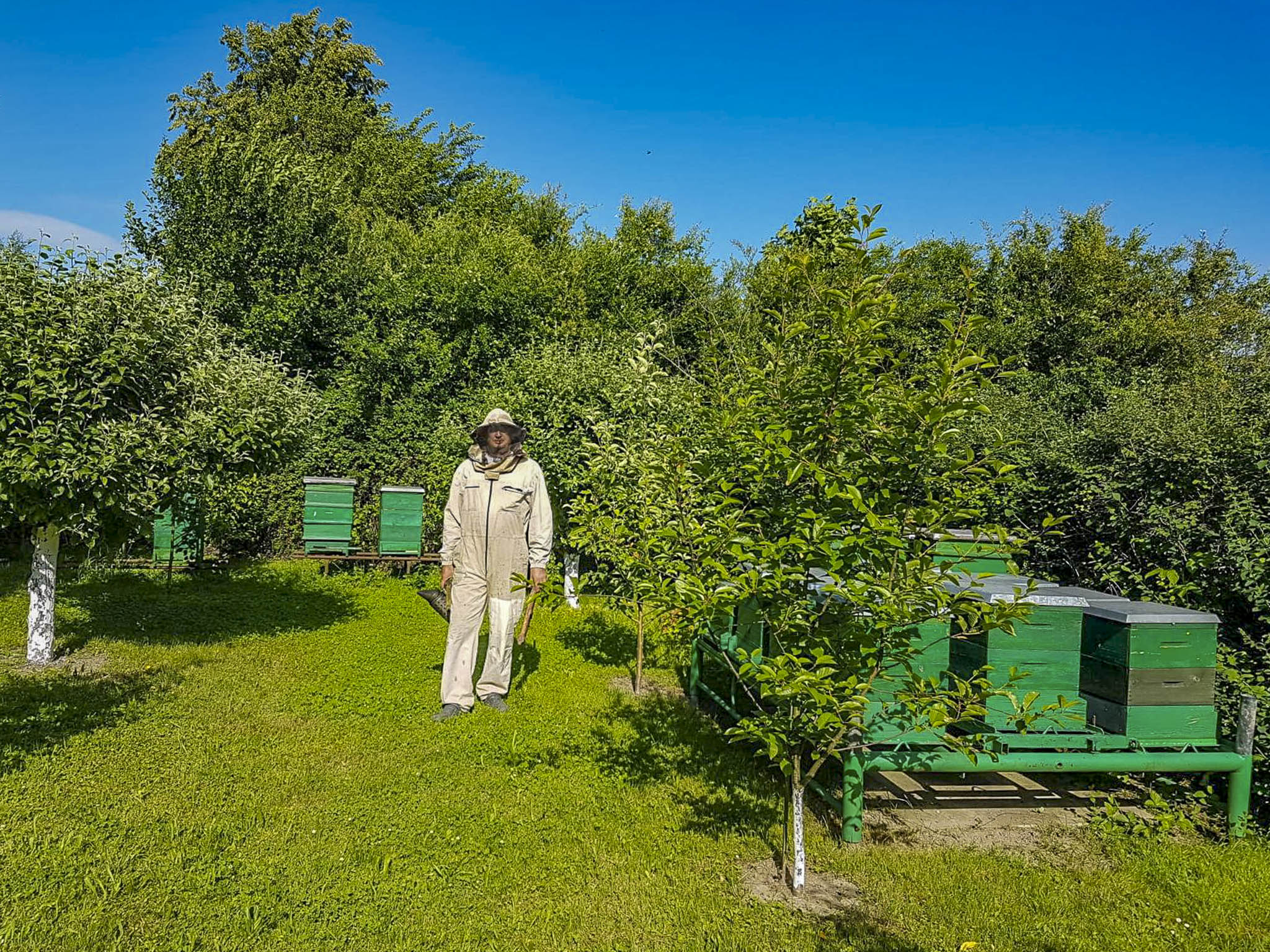Europerspektywy Agnieszka Socha: świat pszczół to porządek, spokój i tradycja