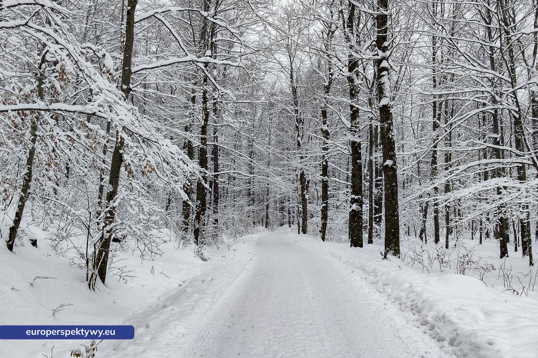 Europerspektywy Ferie w województwie śląskim – zimowe Beskidy w obiektywie