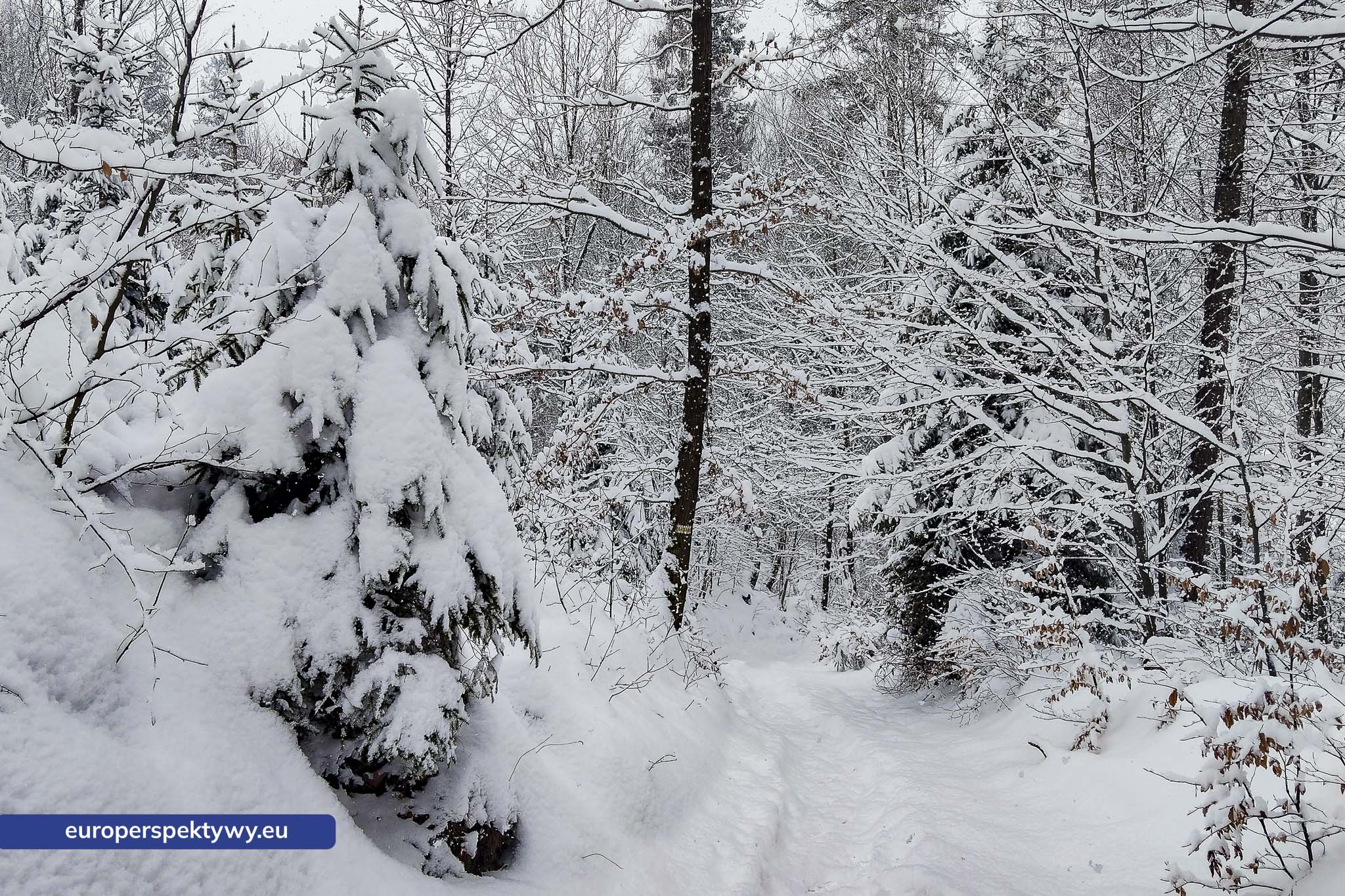 Europerspektywy Ferie w województwie śląskim – zimowe Beskidy w obiektywie
