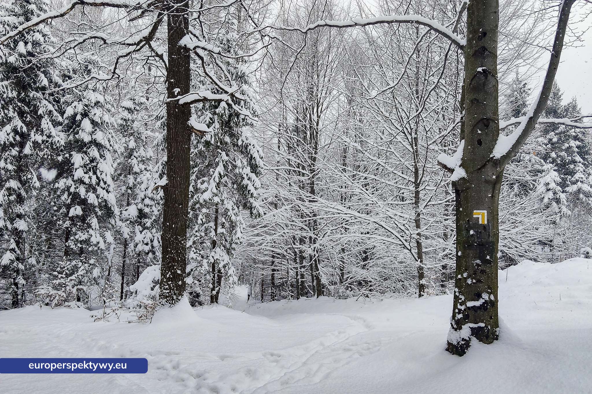 Europerspektywy Ferie w województwie śląskim – zimowe Beskidy w obiektywie