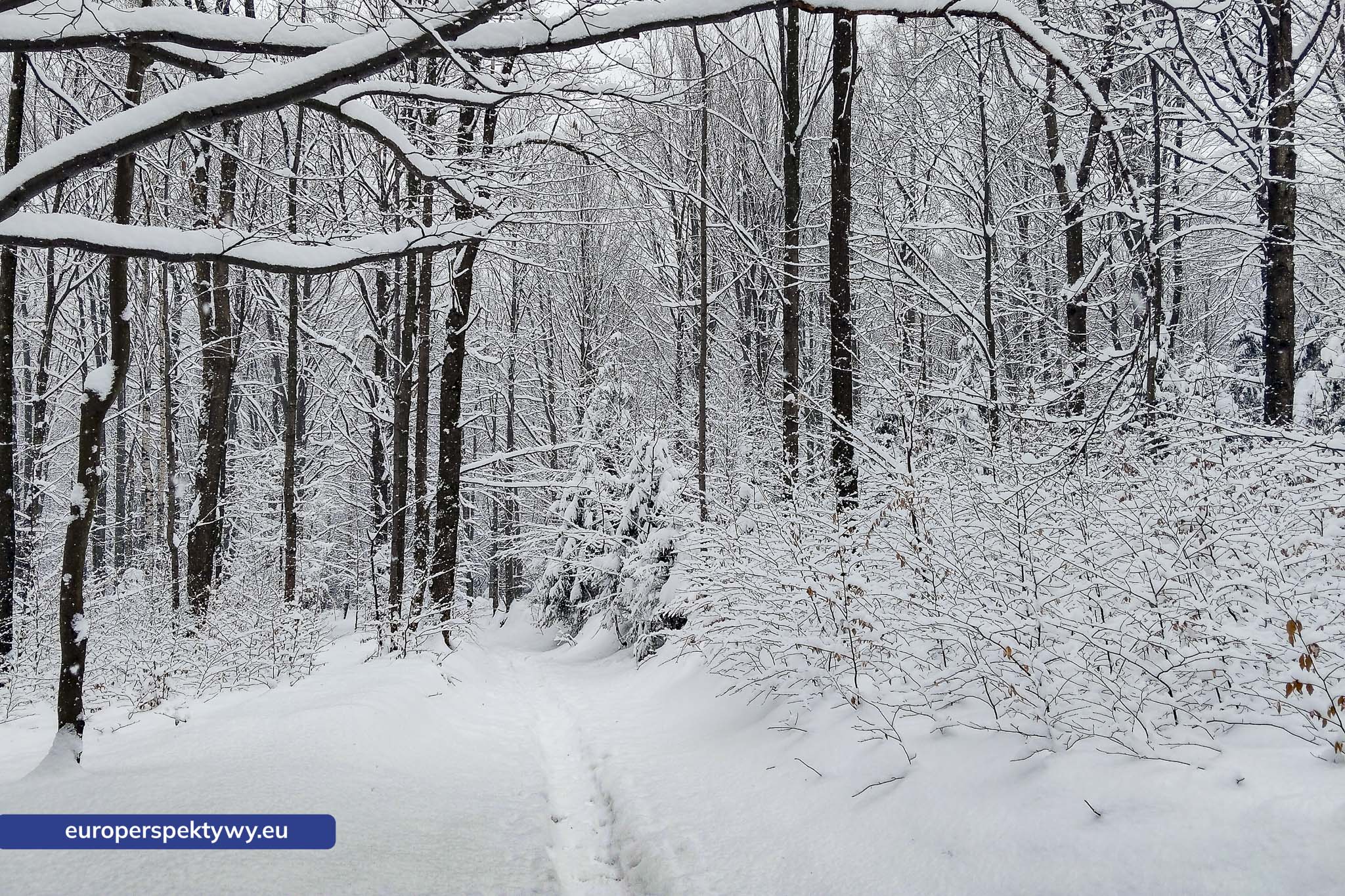 Europerspektywy Ferie w województwie śląskim – zimowe Beskidy w obiektywie