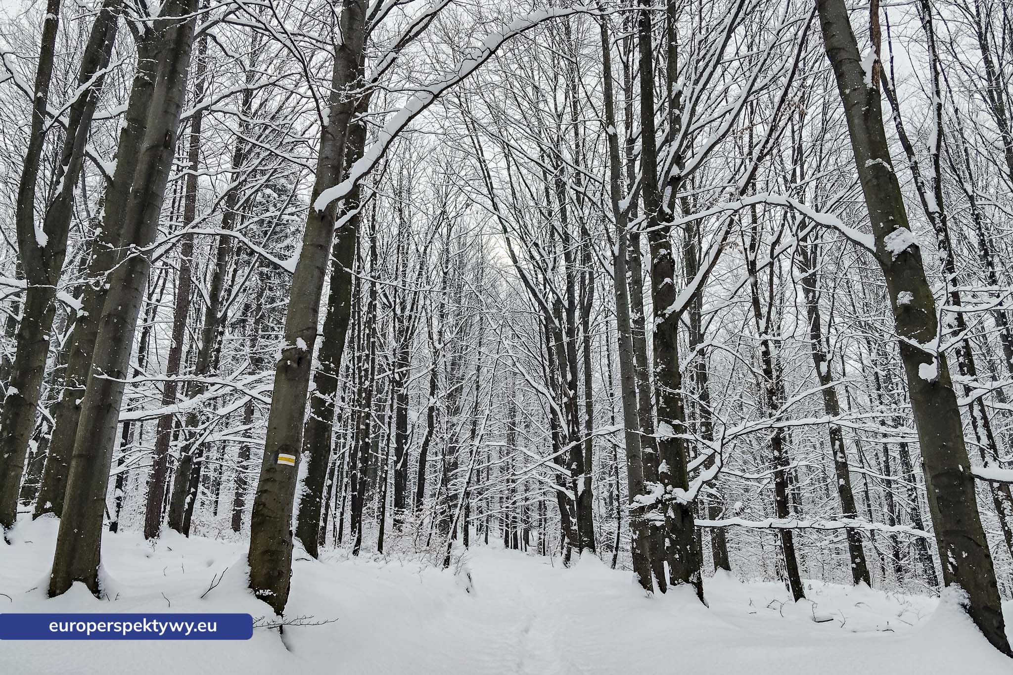Europerspektywy Ferie w województwie śląskim – zimowe Beskidy w obiektywie