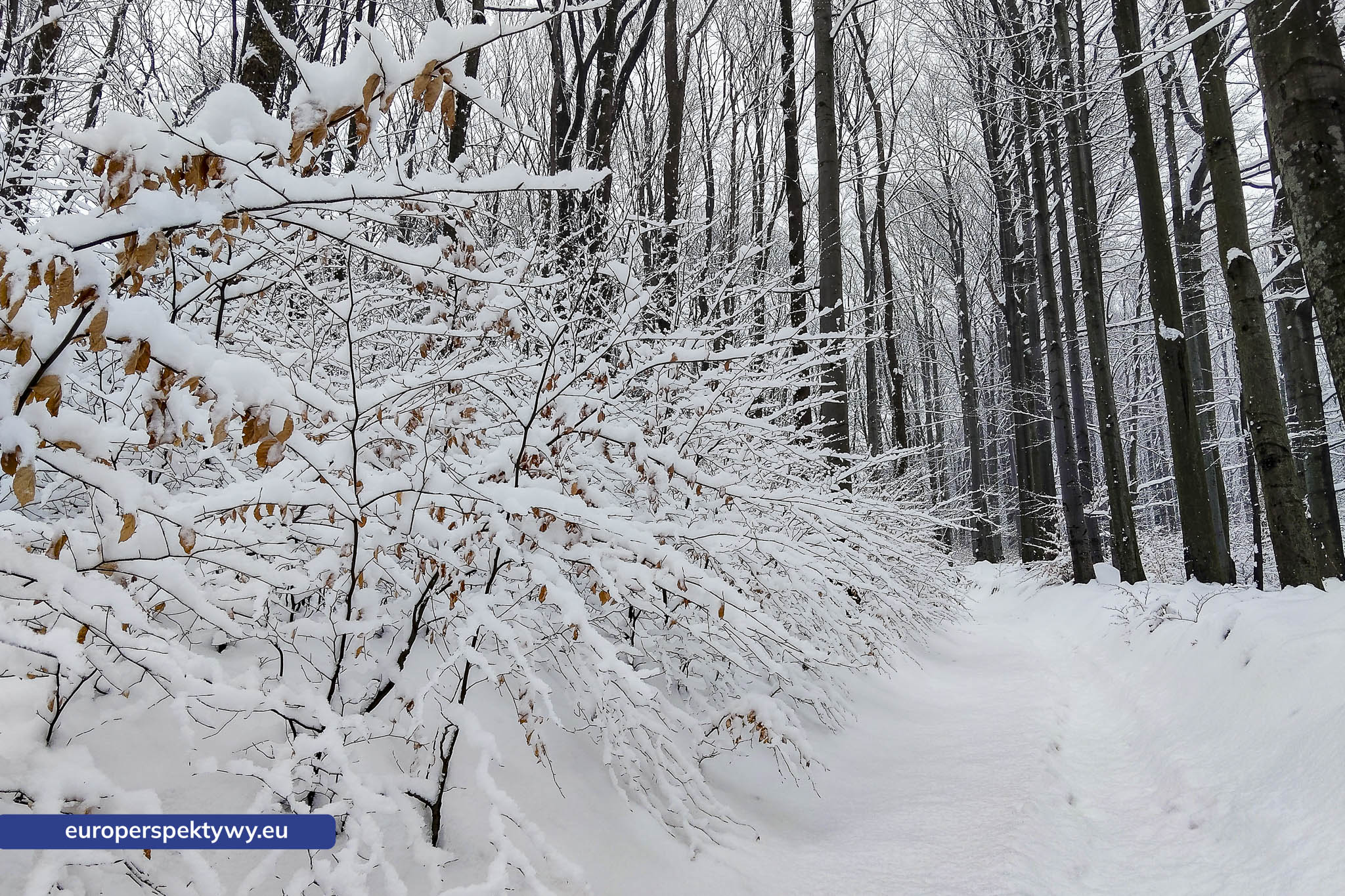 Europerspektywy Ferie w województwie śląskim – zimowe Beskidy w obiektywie