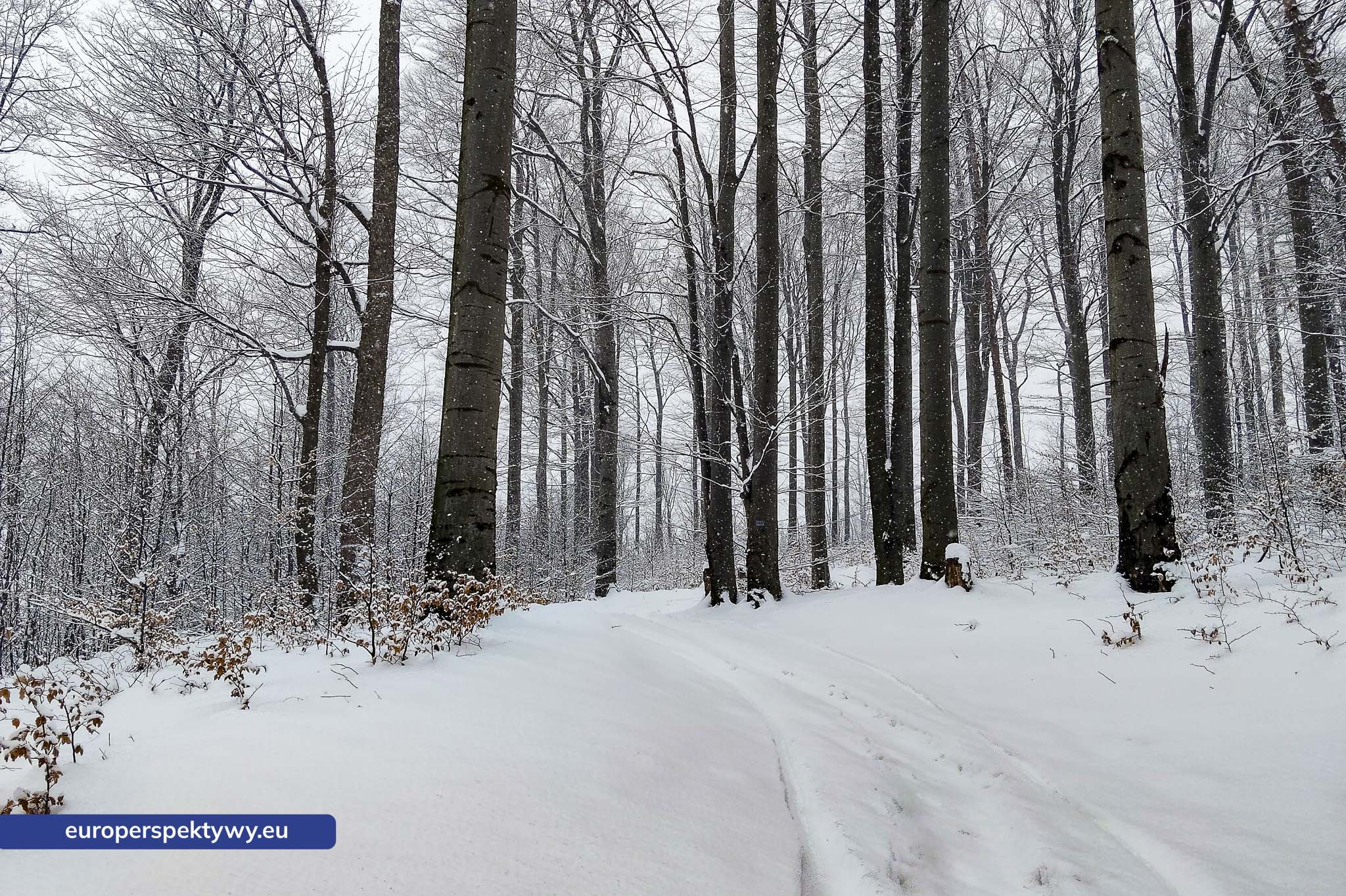 Europerspektywy Ferie w województwie śląskim – zimowe Beskidy w obiektywie