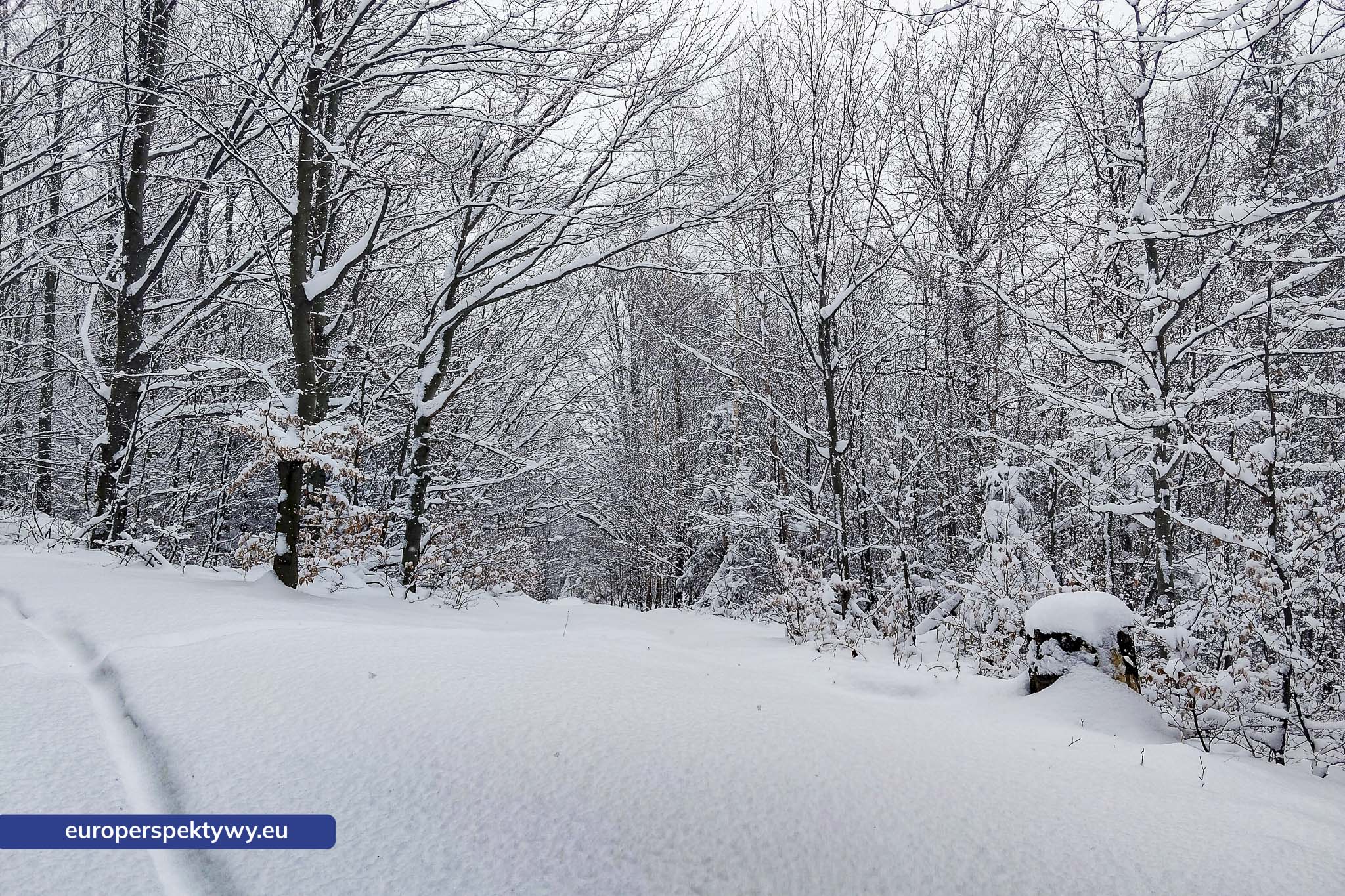 Europerspektywy Ferie w województwie śląskim – zimowe Beskidy w obiektywie