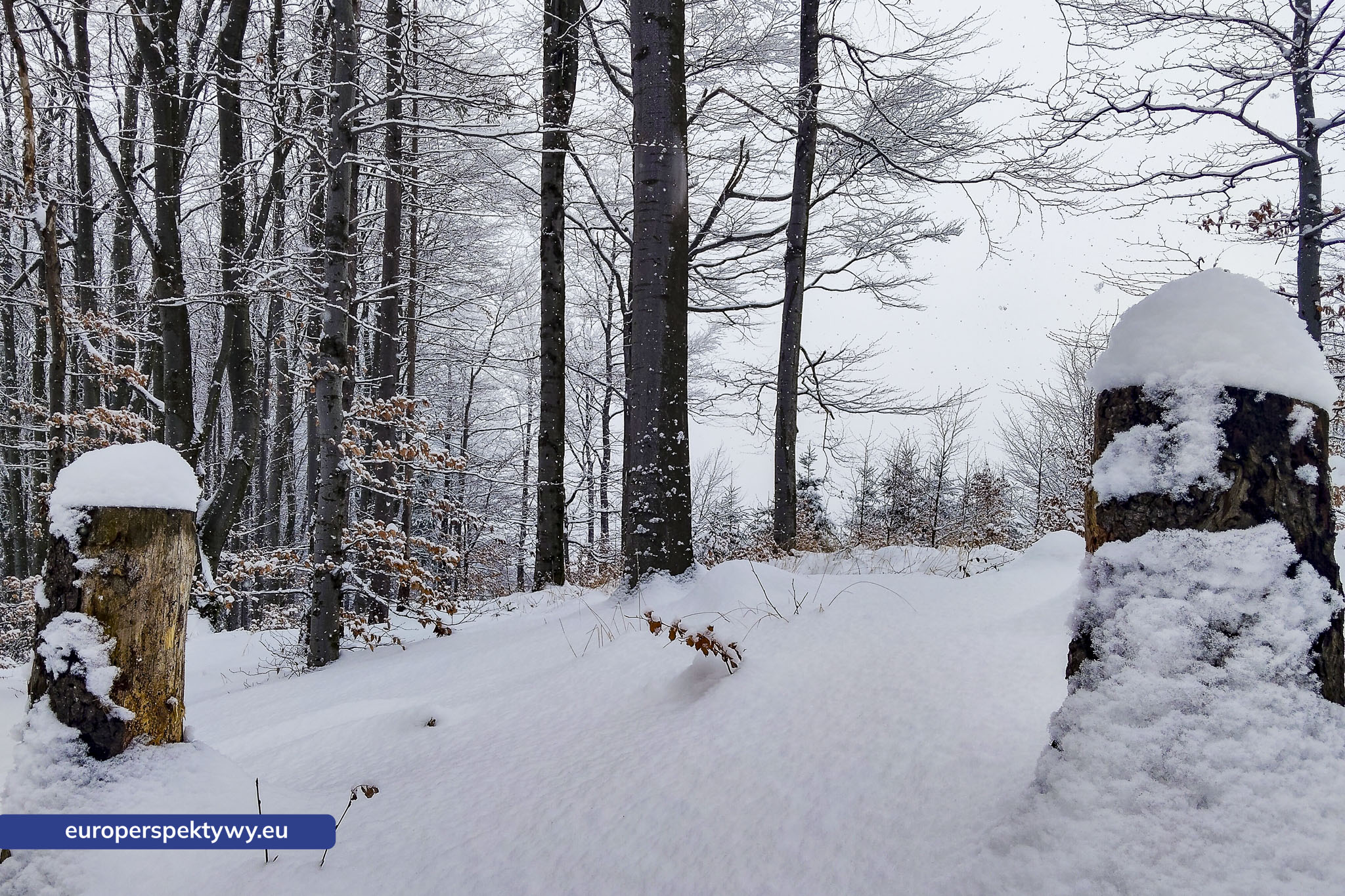 Europerspektywy Ferie w województwie śląskim – zimowe Beskidy w obiektywie