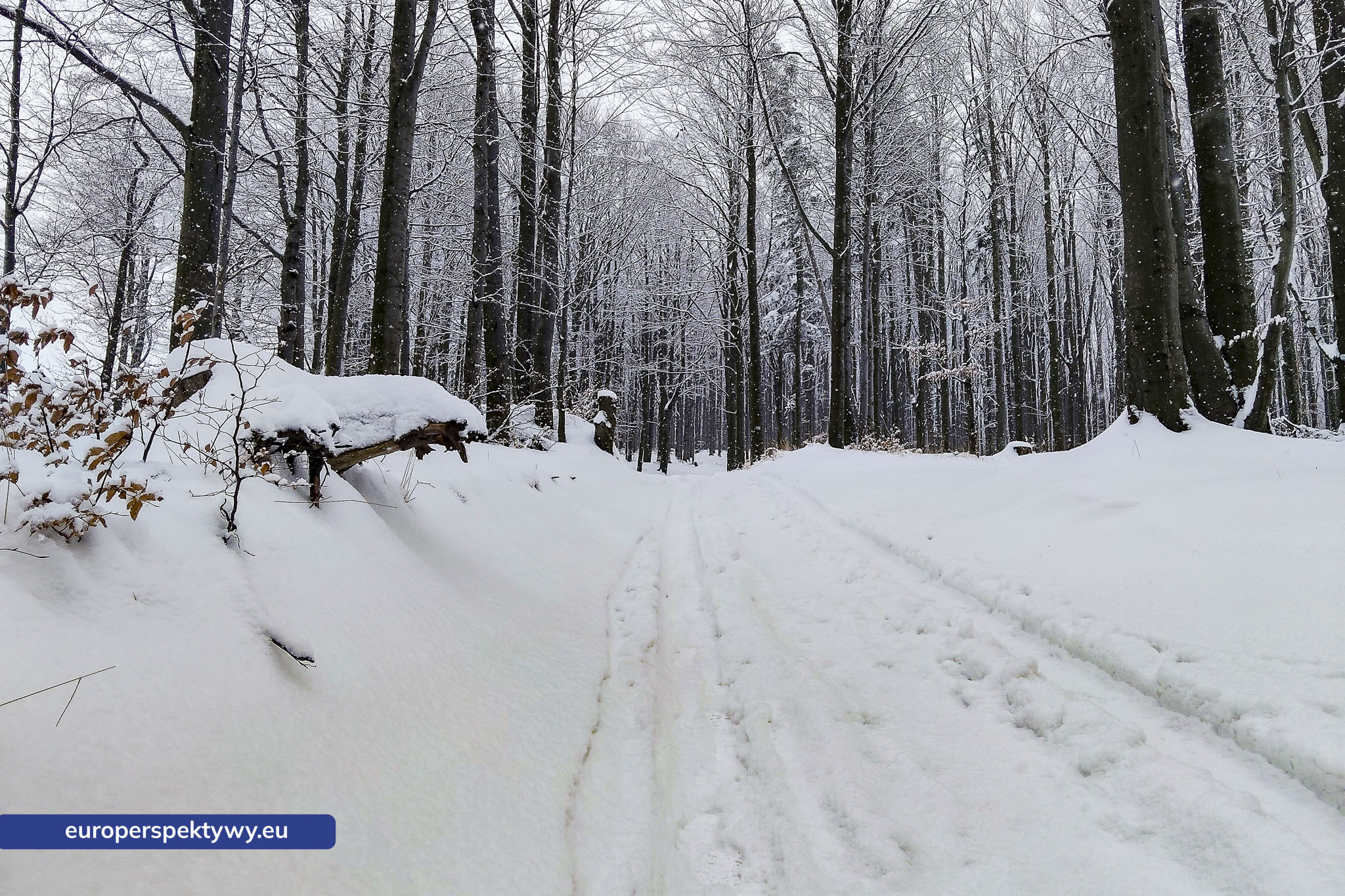 Europerspektywy Ferie w województwie śląskim – zimowe Beskidy w obiektywie