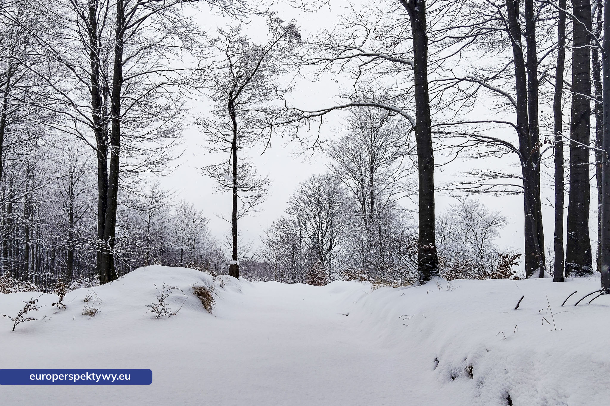 Europerspektywy Ferie w województwie śląskim – zimowe Beskidy w obiektywie