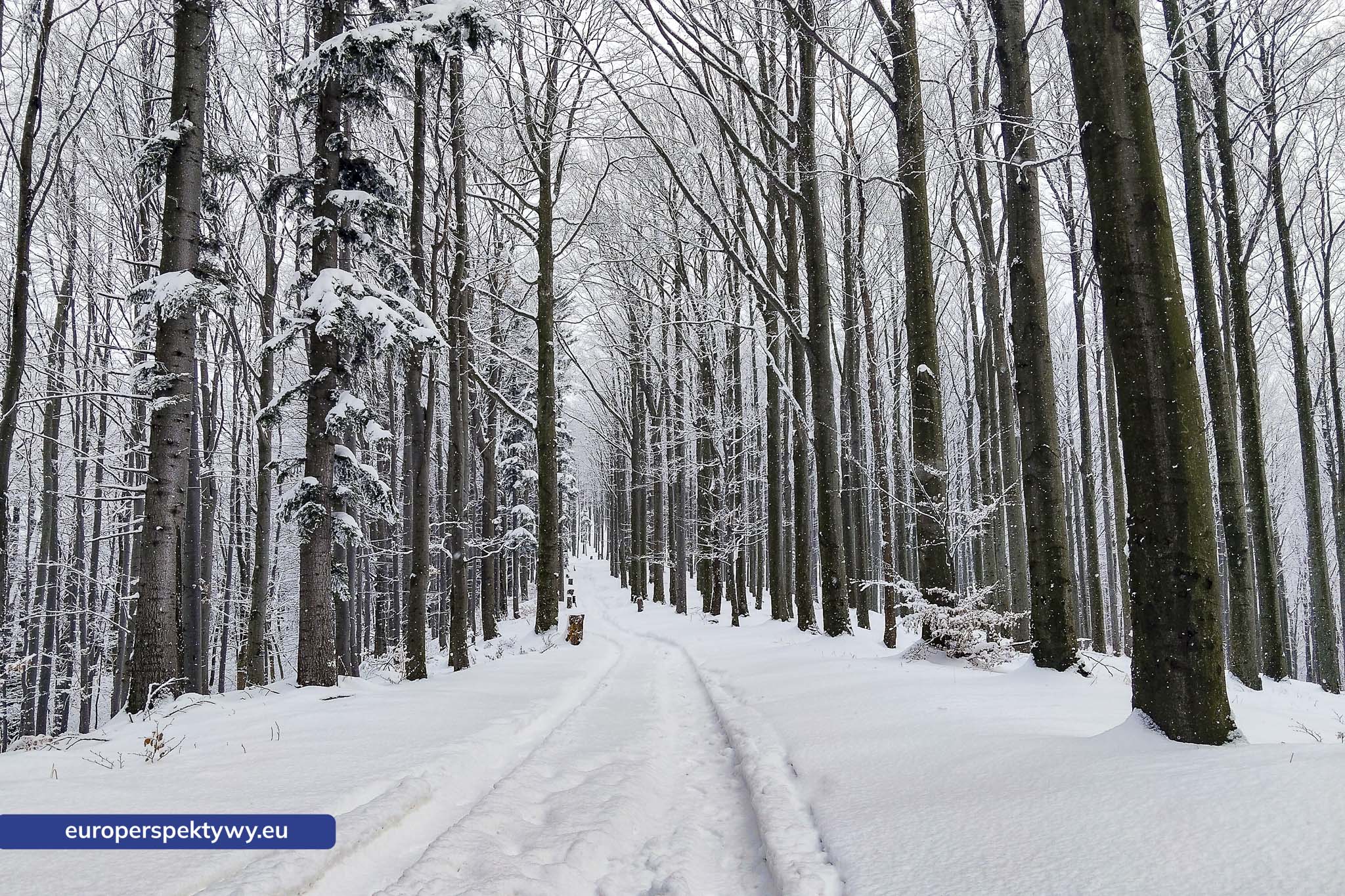 beskidy zimą wfośigw