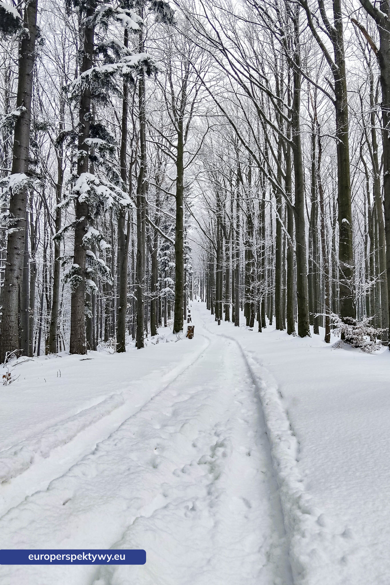 Europerspektywy Ferie w województwie śląskim – zimowe Beskidy w obiektywie