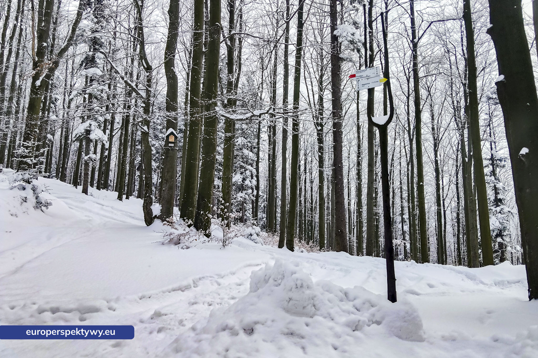 Europerspektywy Ferie w województwie śląskim – zimowe Beskidy w obiektywie