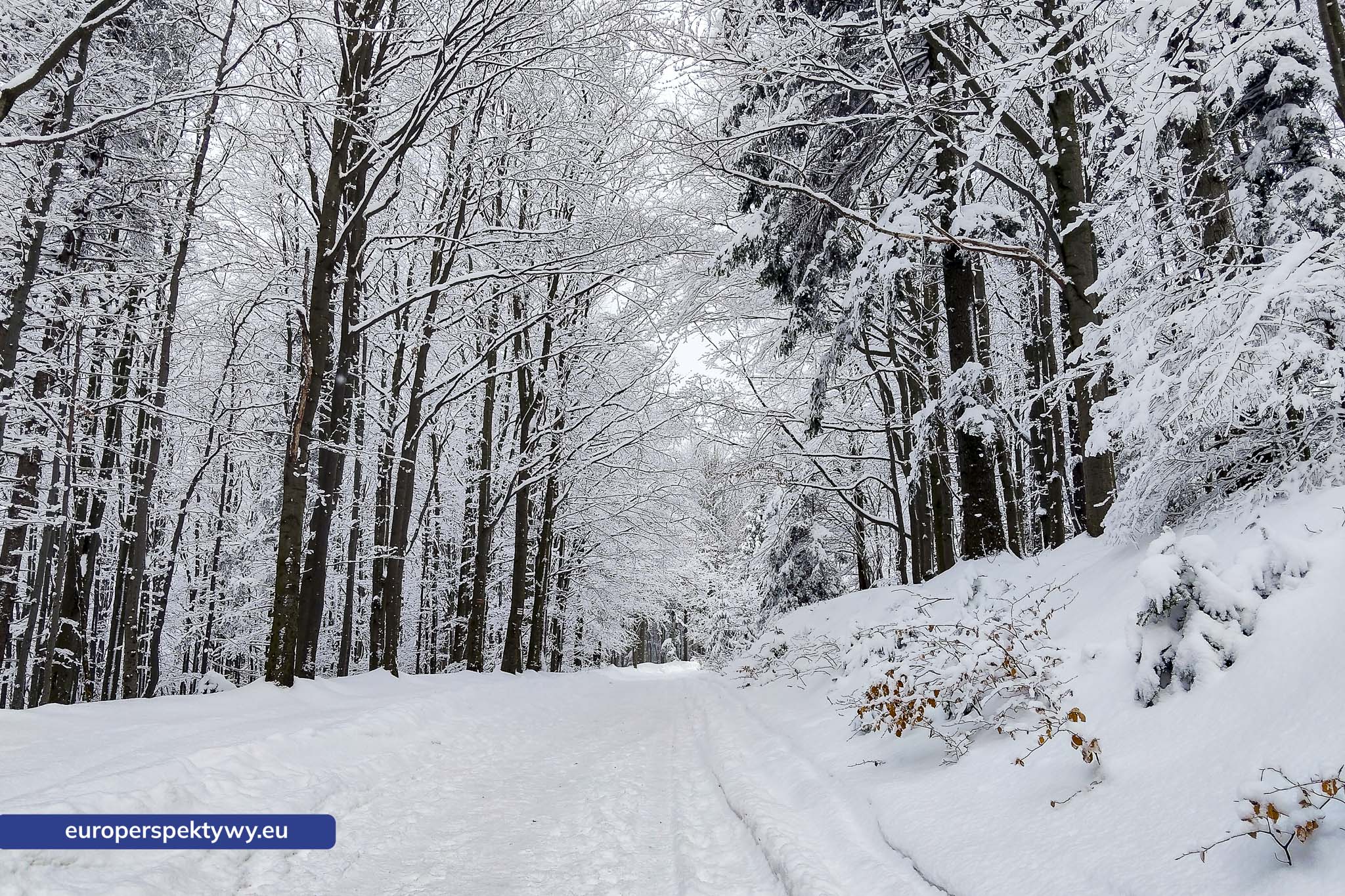 Europerspektywy Ferie w województwie śląskim – zimowe Beskidy w obiektywie