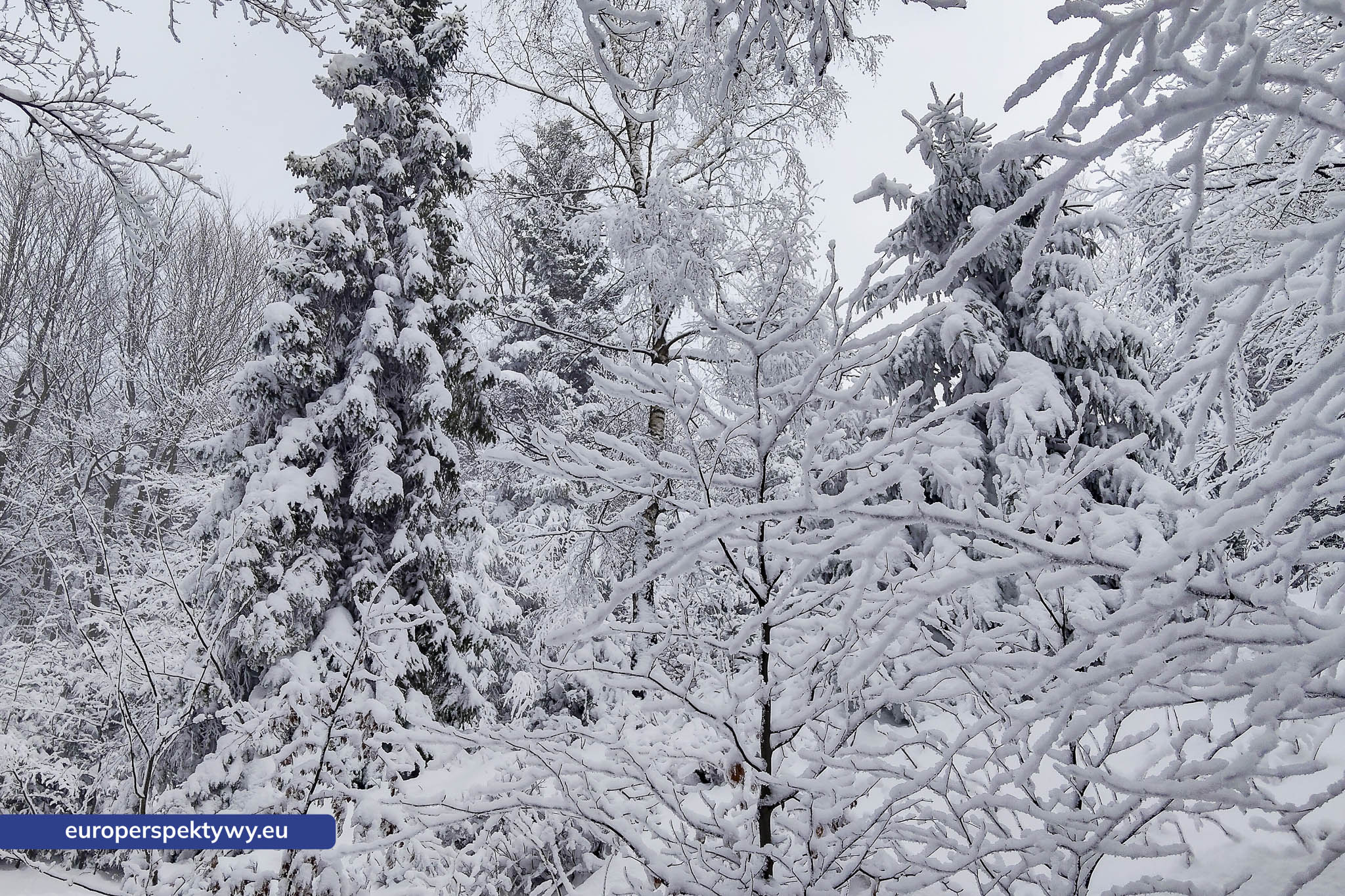 Europerspektywy Ferie w województwie śląskim – zimowe Beskidy w obiektywie