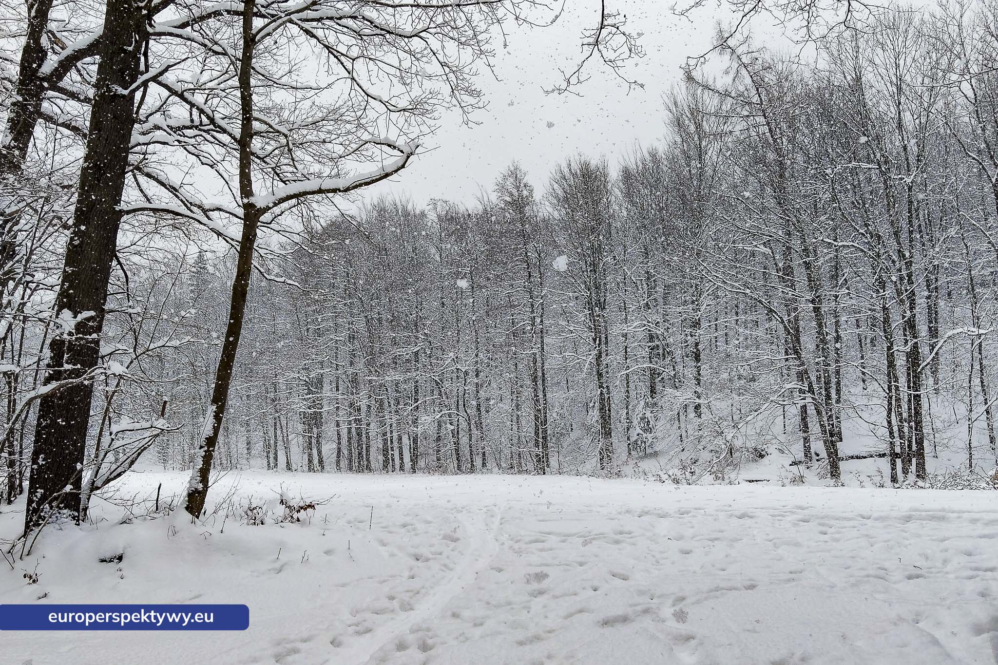 Europerspektywy Ferie w województwie śląskim – zimowe Beskidy w obiektywie
