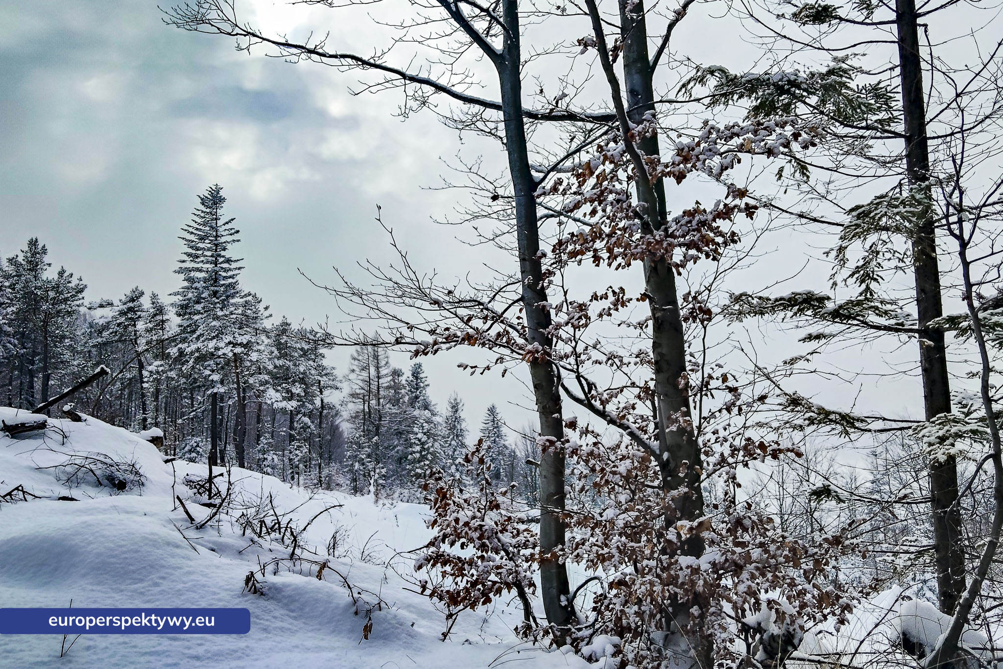 Europerspektywy Ferie w województwie śląskim – zimowe Beskidy w obiektywie