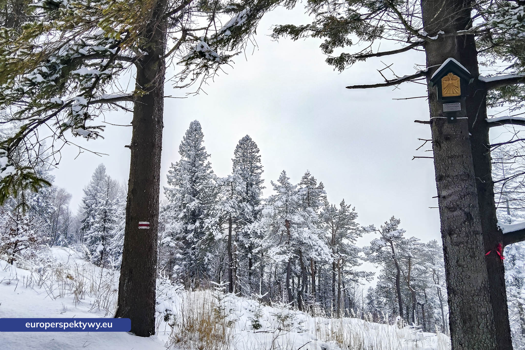 Europerspektywy Ferie w województwie śląskim – zimowe Beskidy w obiektywie