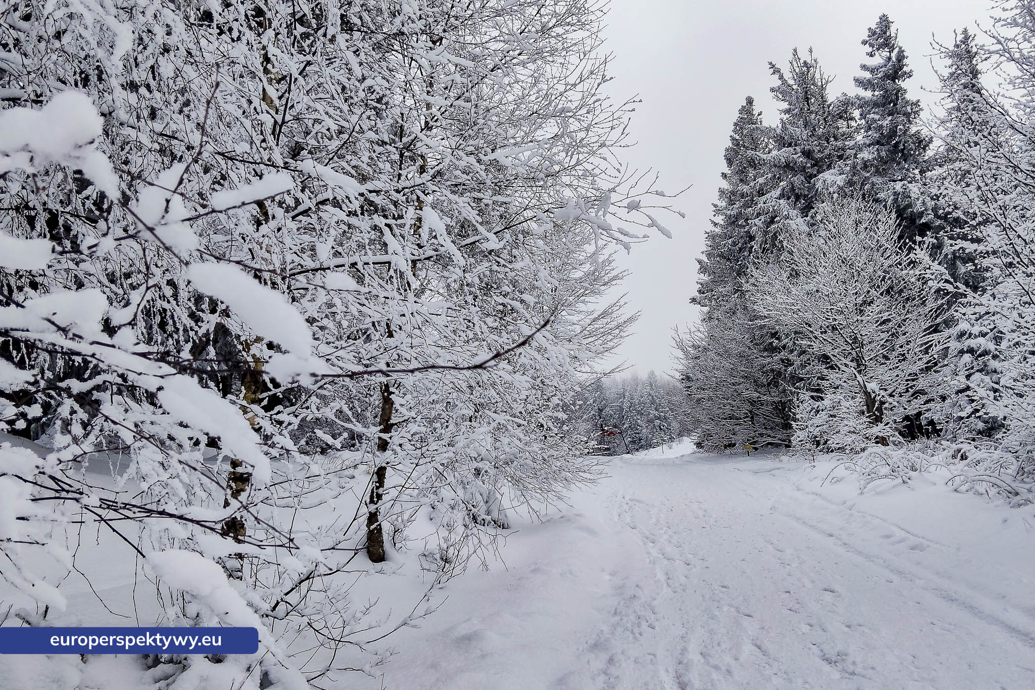 Europerspektywy Ferie w województwie śląskim – zimowe Beskidy w obiektywie
