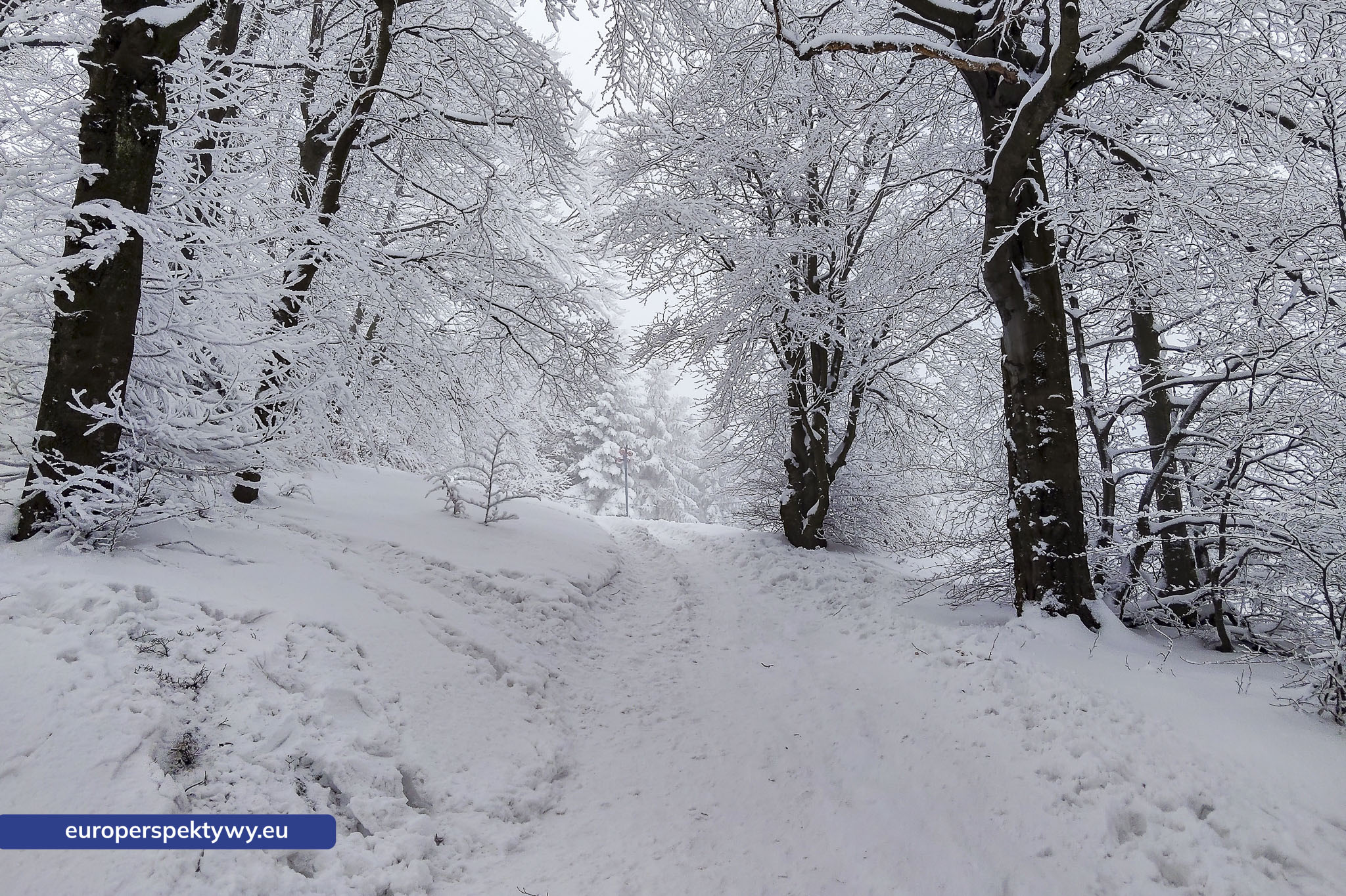 Europerspektywy Ferie w województwie śląskim – zimowe Beskidy w obiektywie