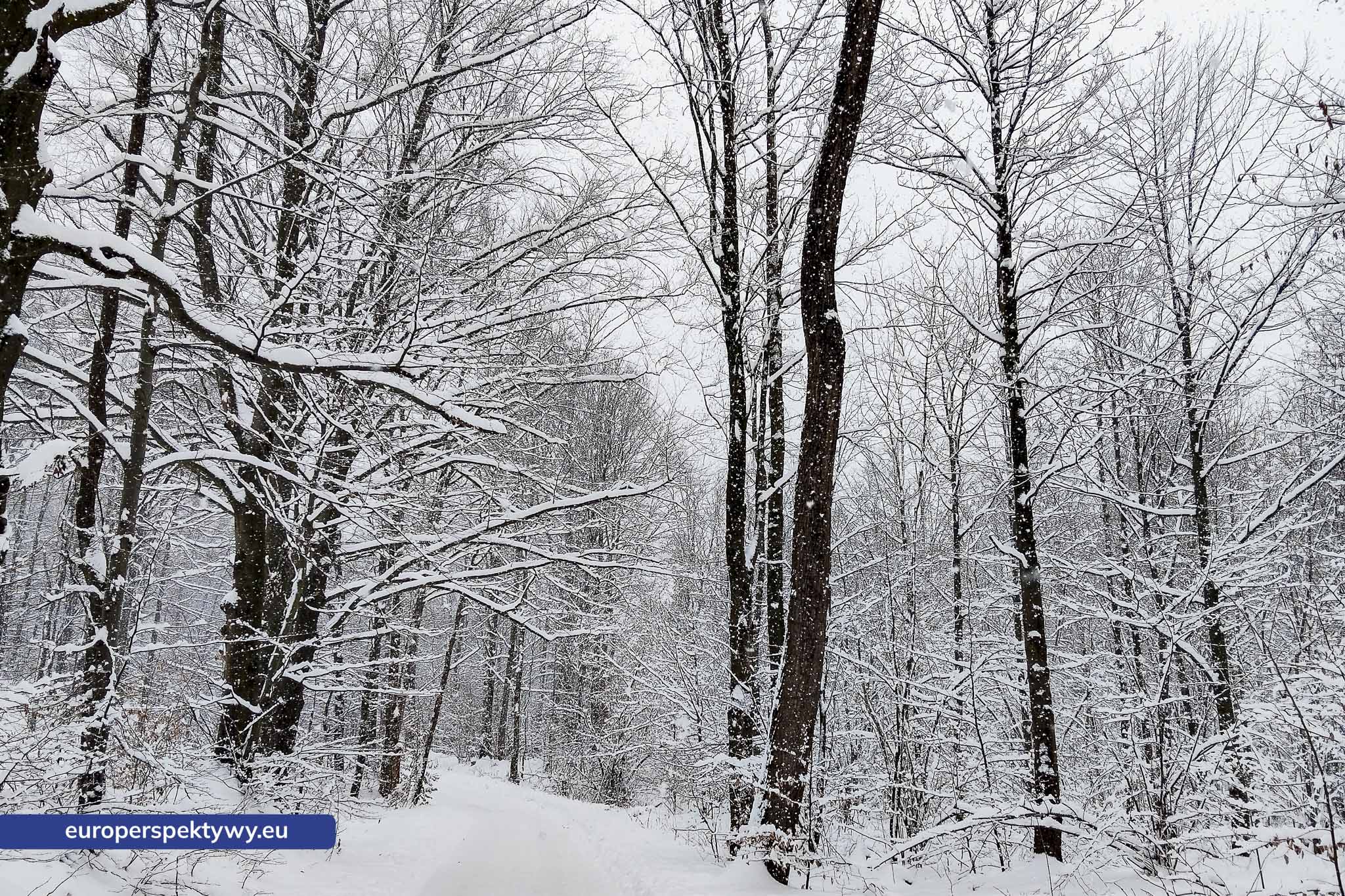 Europerspektywy Ferie w województwie śląskim – zimowe Beskidy w obiektywie