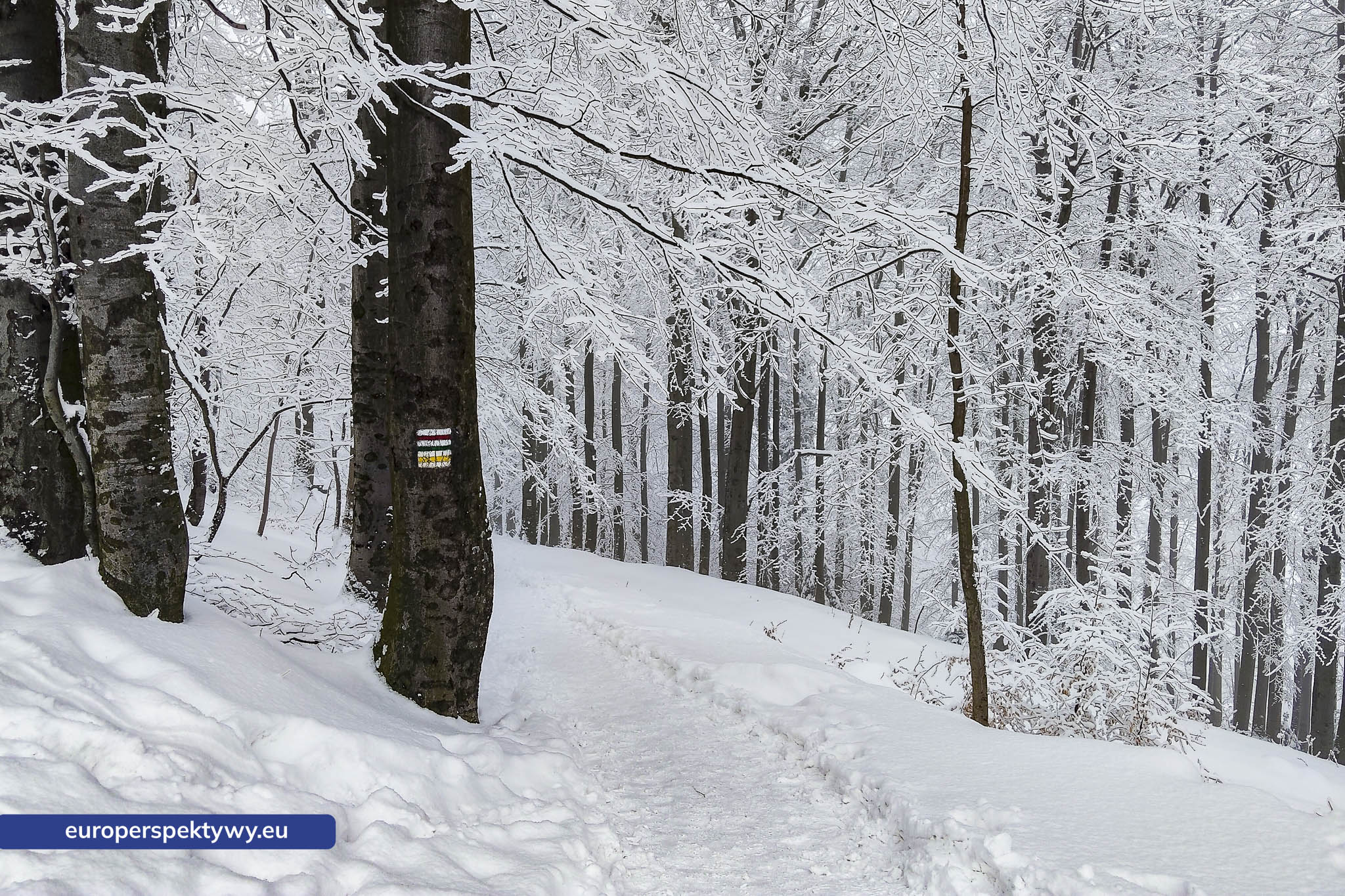 Europerspektywy Ferie w województwie śląskim – zimowe Beskidy w obiektywie