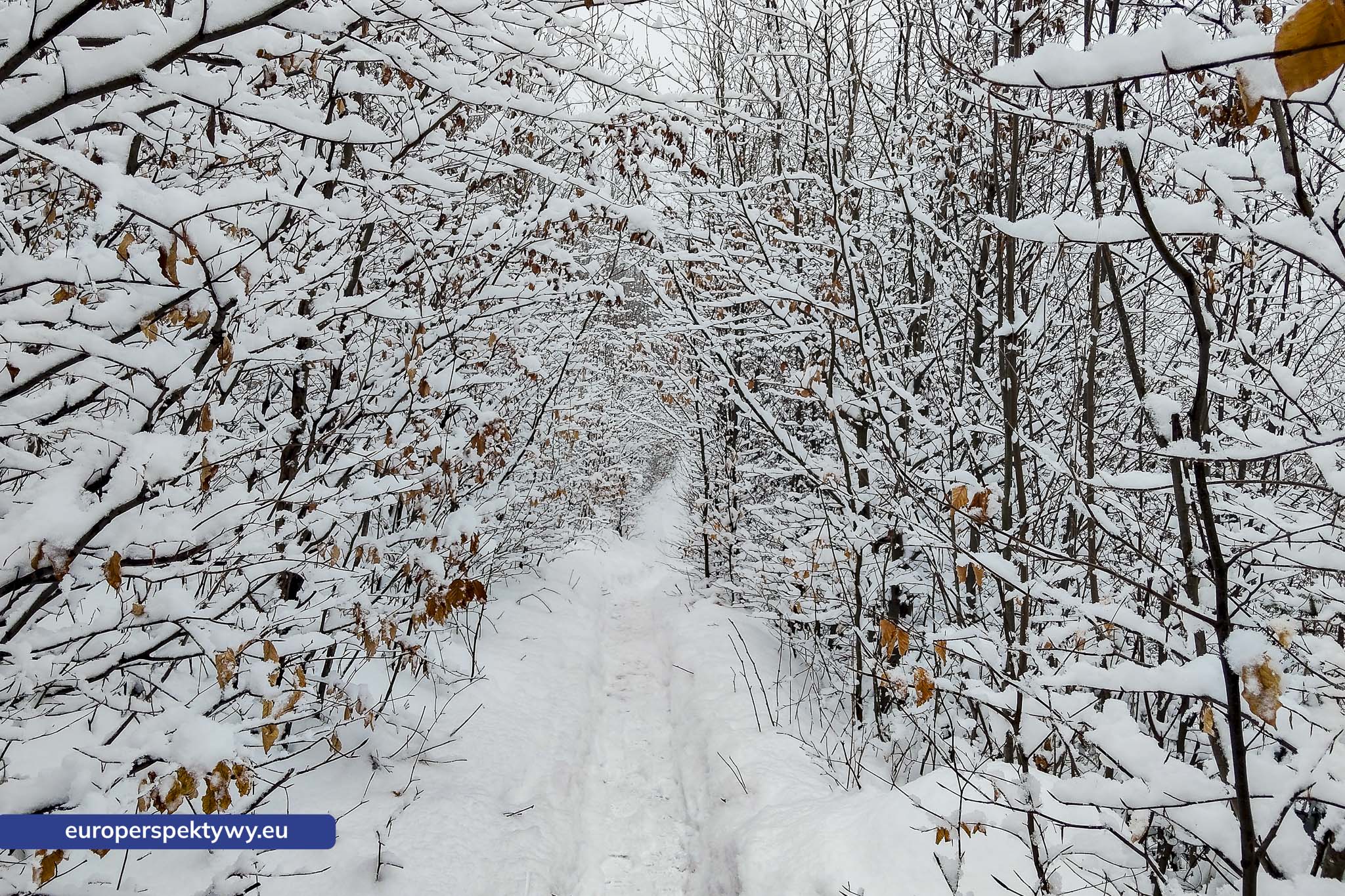 Europerspektywy Ferie w województwie śląskim – zimowe Beskidy w obiektywie
