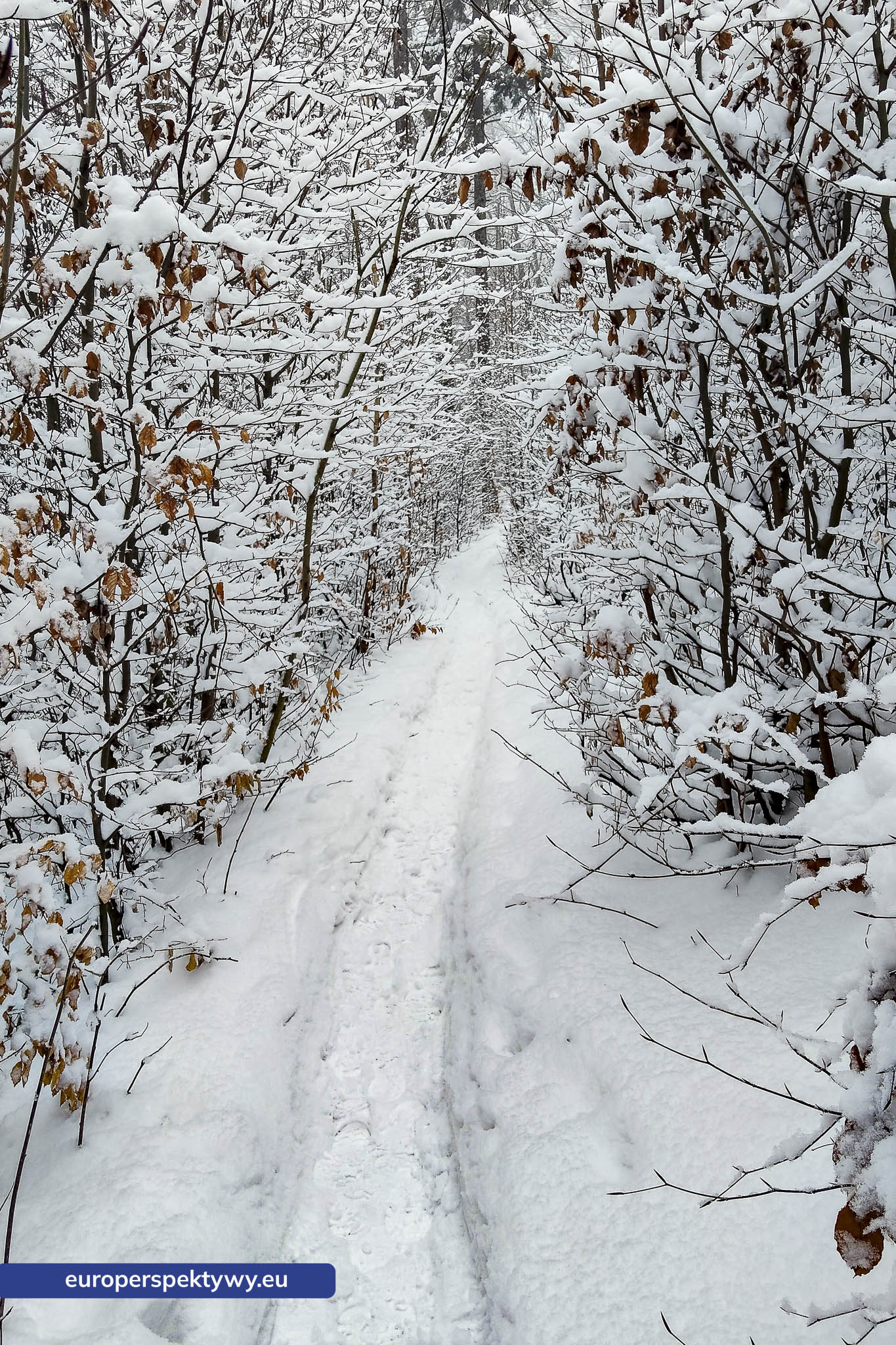 Europerspektywy Ferie w województwie śląskim – zimowe Beskidy w obiektywie
