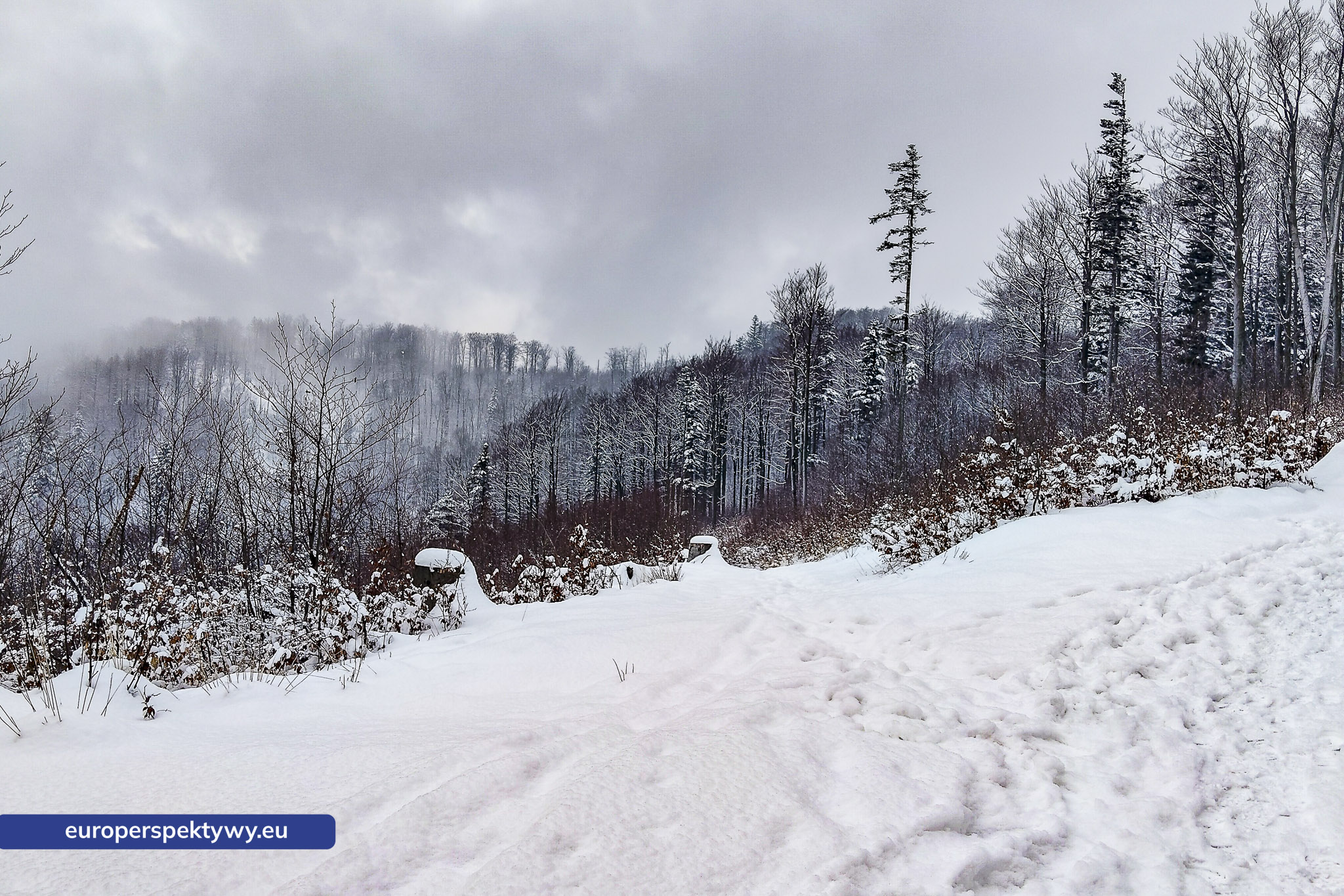 Europerspektywy Ferie w województwie śląskim – zimowe Beskidy w obiektywie